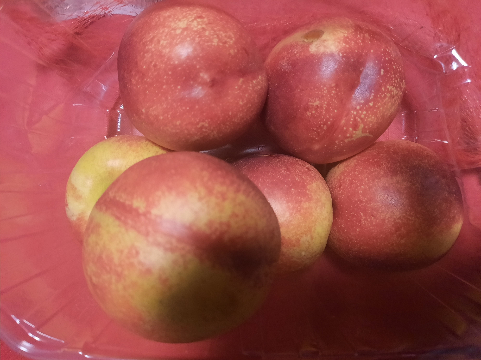 Six ripe nectarines are arranged in a clear plastic container. The nectarines are predominantly red with yellow and green undertones, and speckled with small yellow dots. The container is red and appears to be a common fruit packaging. The lighting is bright, casting subtle shadows on the fruit and the container. The scene is a still life, with no people or actions depicted. The image offers no information about the city of Rosenheim, Germany.