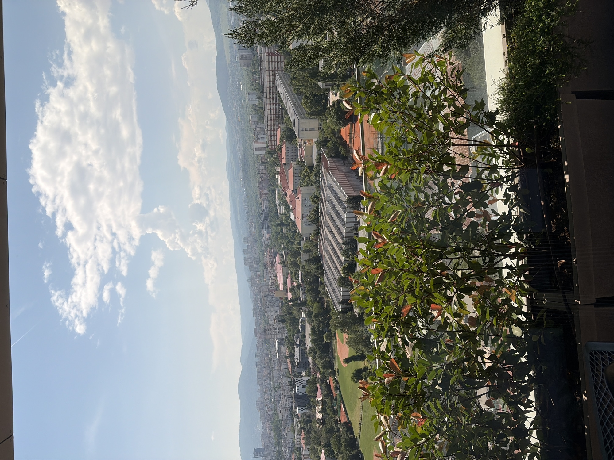 The image captures a panoramic view of a city from an elevated vantage point, likely a balcony or rooftop. In the foreground, lush green foliage from potted plants partially obscures the scene, with some leaves exhibiting reddish hues. Beyond the plants, a sprawling cityscape unfolds, characterized by a dense collection of buildings of varying heights and architectural styles. Numerous residential and commercial structures, many with red-tiled roofs, are interspersed with trees and greenery. In the mid-ground, a sports field, possibly with tennis courts and a baseball diamond, is visible. Further in the distance, rolling hills form a natural backdrop to the urban landscape, with the sky above a bright blue, dotted with fluffy white clouds. The overall impression is one of a sunny day in a vibrant, established city.
