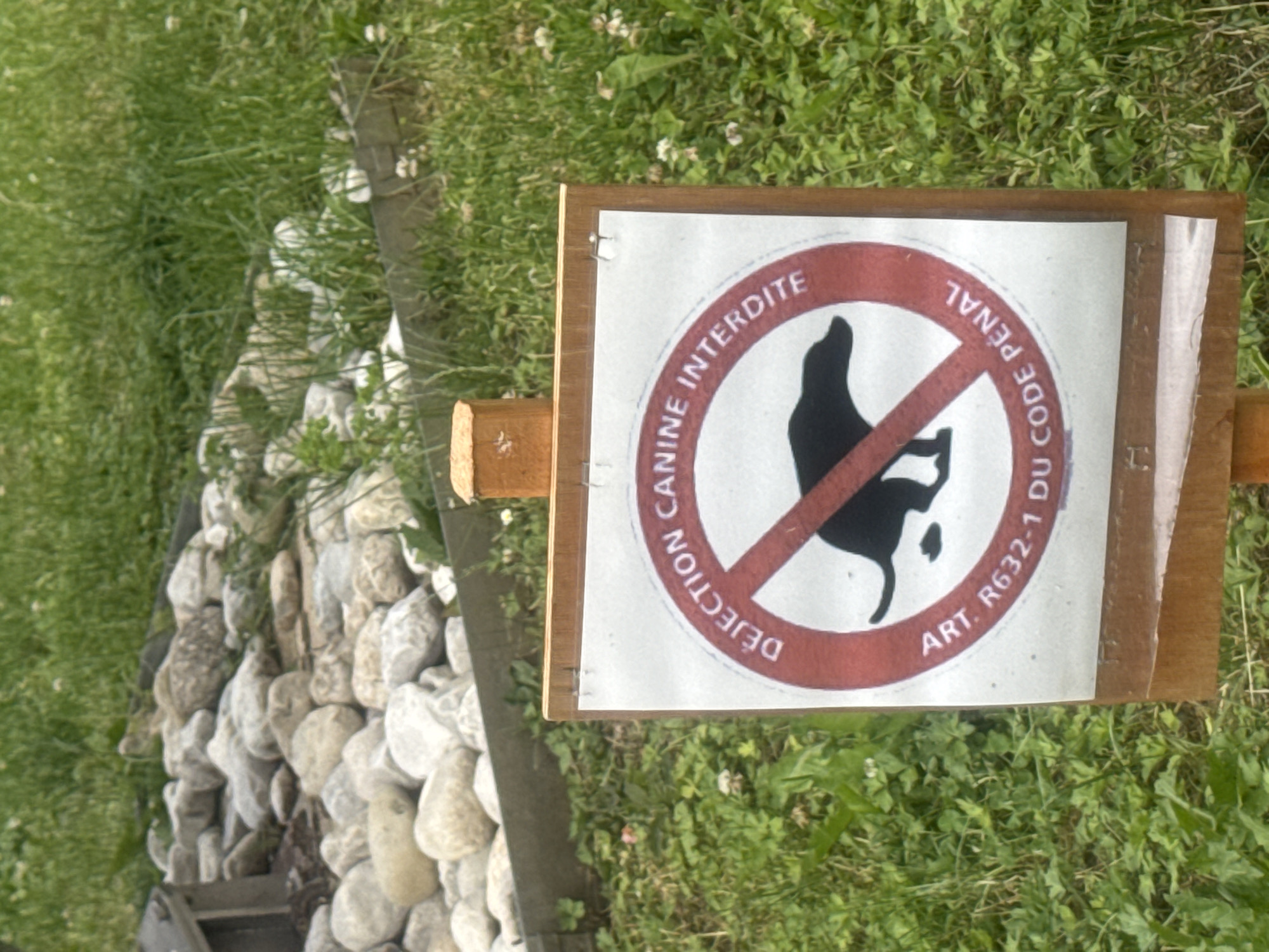 A white sign with a red circle and a diagonal red line is posted on a wooden stake in a grassy area. The sign depicts a black silhouette of a dog with its hindquarters visible, and the text "DEJECTION CANINE INTERDITE" encircles the image. Below the image, the text "ART. R632-1 DU CODE PÉNAL" is written. The sign is weathered, with some tape visible at the bottom. In the background, there is a rocky area and green grass. The sign is a "No Dog Pooping" sign. This specific sign is located in Saint-Claude, France.