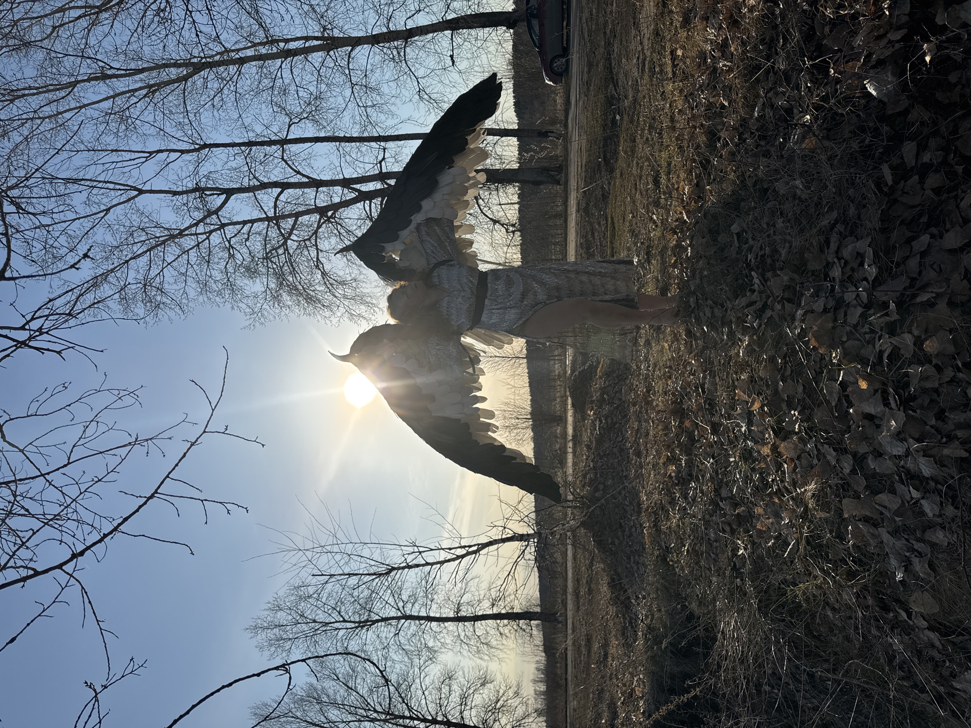 A person with large black and white wings is standing in a field of dry leaves and grass. The person is wearing a silver-colored garment and appears to be backlit by the sun. Above and around the person, bare tree branches reach into a blue sky. A road or path is visible in the background, with a car parked near trees. The location is likely Chaikovsky, Russia, given the prompt's instructions.