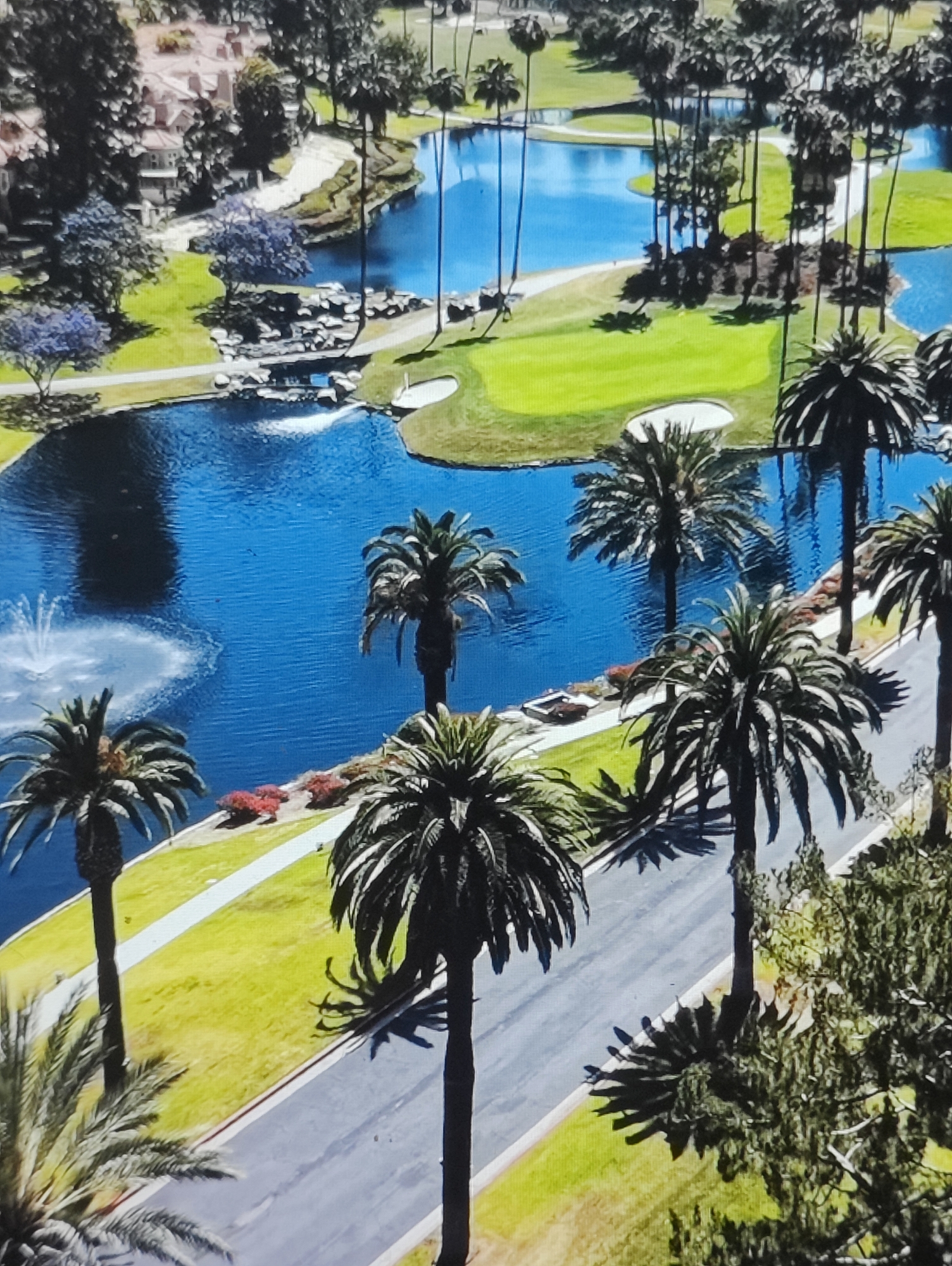 The image is an aerial view of a golf course with several water features and palm trees. The water is a bright blue, and there are green fairways and sand traps visible. The palm trees are tall and slender, with fronds that create a lot of shade. In the foreground, there is a road with a few cars parked on the side. The scene appears to be in a warm, sunny climate. The location is not Yarmolyntsi, Ukraine.