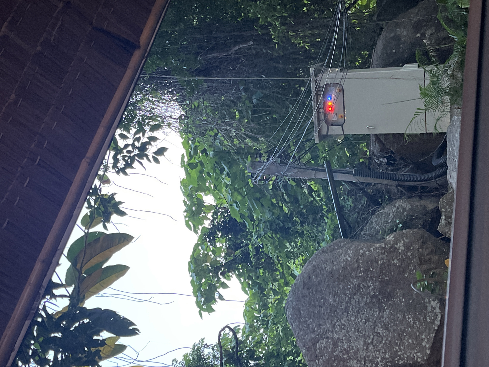 The image depicts an outdoor scene, likely in a tropical environment. A utility box with indicator lights (red and blue) is mounted on a pole amidst lush green foliage and large rocks. The box is a light beige color with a small door or panel on the front. Wires extend from the top of the box and run across the frame, disappearing into the dense vegetation.
The scene is viewed from beneath a thatched roof structure, suggested by the wooden beams and textured roofing material visible in the upper left corner. The lighting suggests it is daytime, with bright light filtering through the leaves. The presence of large rocks and dense greenery points towards a natural or semi-natural setting. The overall impression is one of an outdoor utility installation integrated into a verdant landscape. No people are visible in the image.
