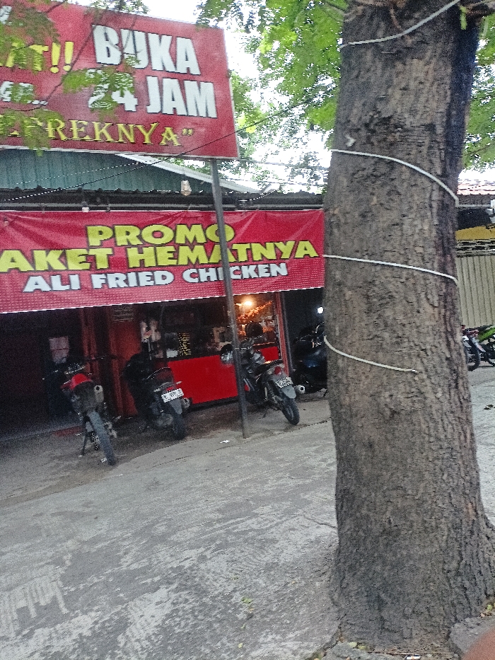 This image depicts a street scene in Mojosari, Indonesia, centered around a small eatery. On the right, a large tree trunk, wrapped with white cord, occupies the foreground. Behind it, a red sign above a building reads "BUKA 24 JAM" (Open 24 Hours) and partially "FREKNYA" below. Directly beneath this, a prominent red banner spans across a storefront, advertising "PROMO PAKET HEMATNYA ALI FRIED CHICKEN" (Promo, Its Economical Package, Ali Fried Chicken).
The storefront itself is a modest establishment, with a bright red counter visible through the entrance. Several motorcycles are parked on the paved ground in front of the shop, suggesting customer presence or staff vehicles. Green foliage is visible at the top, likely from the tree. The overall lighting indicates it is daytime, possibly late afternoon or early evening. The setting suggests a casual commercial area, typical of many towns in Indonesia. No people are clearly visible, and no specific emotions are conveyed.