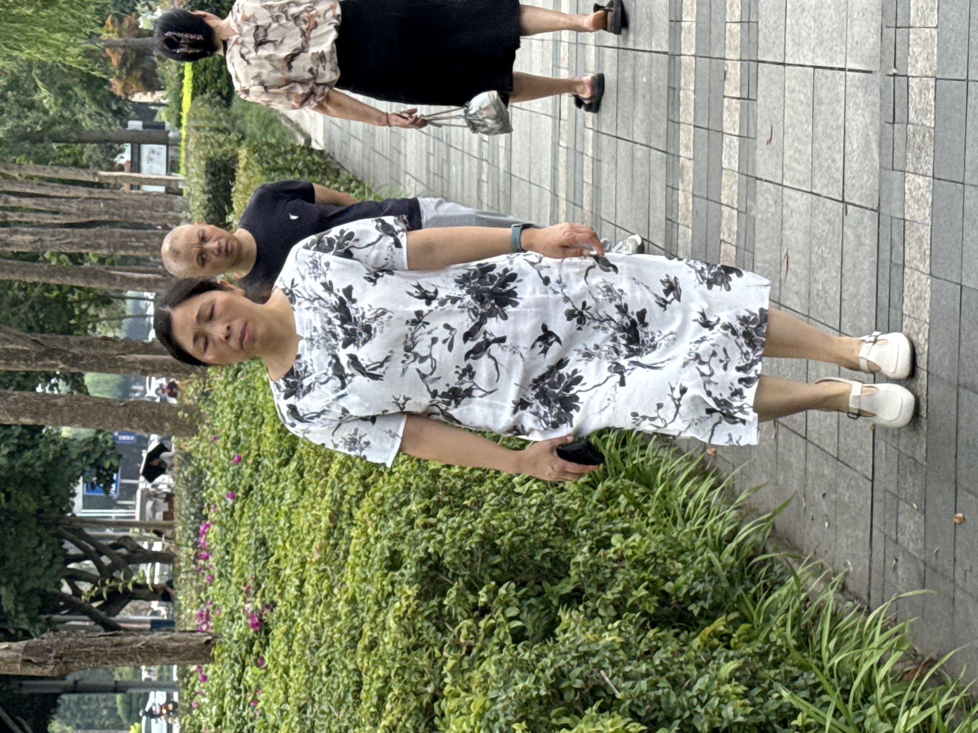 The image captures an outdoor pedestrian scene on a paved walkway in Jiangjin, China. The setting appears to be a park or a treelined urban area, characterized by dense green foliage on the left and a line of tall, slender trees in the background.
Three individuals of East Asian ethnicity are present, walking in succession along the walkway.
1. **Foremost Woman:** Positioned slightly right of center, she walks towards the viewer. She is a middle-aged woman wearing a white short-sleeved, knee-length dress with a prominent black bird and botanical print. Her dark hair is styled in a bob. Her eyes appear closed or downcast. She holds a black smartphone in her right hand, which is held at her side, and wears a teal-colored smartwatch on her left wrist. She is wearing white, low-heeled shoes with a strap across the instep.
2. **Middle Man:** Walking directly behind the foremost woman, he is a man with a shaved head. He wears a dark, short-sleeved t-shirt with a small white emblem on the left chest and light grey or white trousers. His expression is neutral as he looks forward.
3. **Rear Woman:** Further back, walking away from the viewer, is another middle-aged woman. She wears a light-colored, short-sleeved blouse with a patterned design (possibly horses or abstract shapes) and a long, solid black skirt. Her dark hair is pulled back, possibly secured with a decorative clip. She carries a small, light-colored handbag in her left hand and wears dark open-toed sandals.
The walkway is composed of rectangular paving stones in varying shades of grey. To the left, a dense, manicured hedge with scattered pink flowers runs parallel to the path. In the background, beyond the pedestrians, more trees are visible, along with distant, indistinct urban elements and what appears to be a light pole. The scene is illuminated by natural daylight.