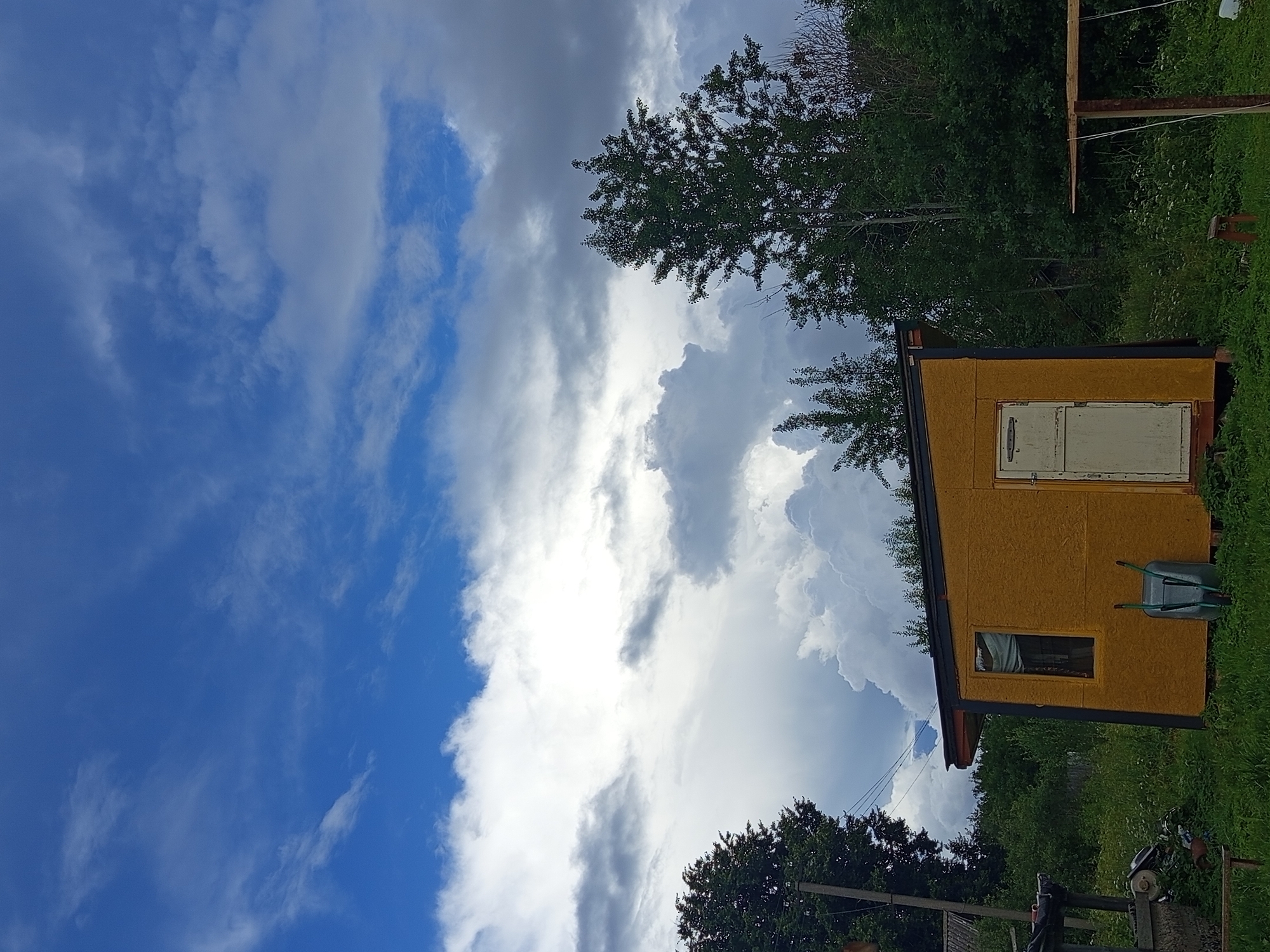 In Ostrovtsy, Russia, a small yellow shed with a white door and a single window stands in a grassy field under a dramatic sky with heavy, white and gray clouds. Trees surround the structure, with one tall, dark green tree to the right and a lighter green tree to the left. A green wheelbarrow is parked in front of the shed. In the background, there is dense foliage and hints of other structures or objects, including what appears to be a clothesline structure on the right. The scene depicts a rural or semi-rural outdoor setting on a cloudy day.