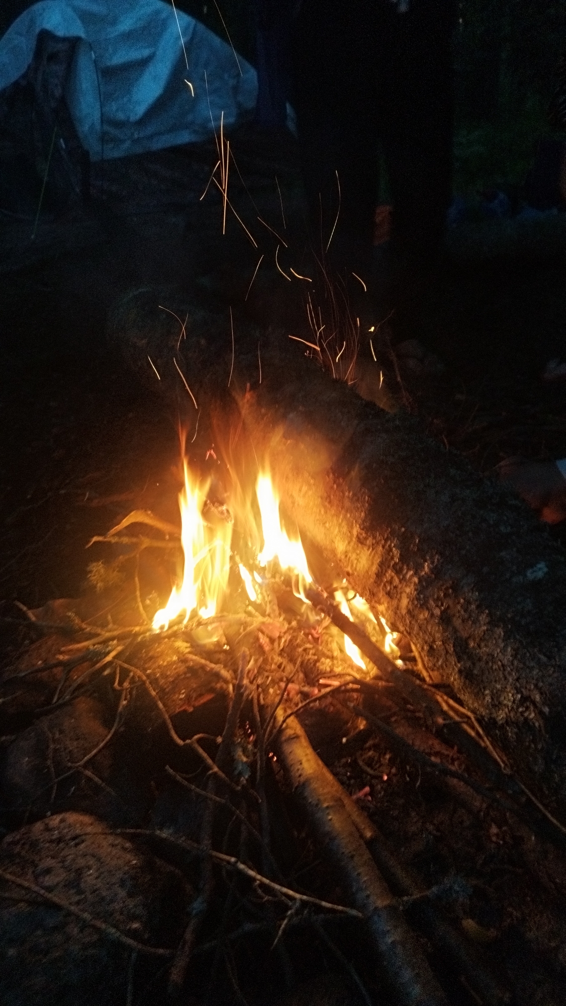 The image depicts a campfire at night, likely in a rural or wilderness setting, possibly near Tarasovskoe, Russia. The fire is fueled by dry branches and logs, with flames prominently displaying vibrant orange and yellow hues. Sparks are seen ascending from the fire, indicating active burning. In the background, a large fallen log acts as a backdrop to the fire, and a pale blue tent is partially visible, suggesting a camping scenario. The overall environment is dark, with the fire serving as the primary light source, casting a warm glow on the immediate surroundings. No people are clearly visible in the image, though their presence is implied by the campsite setup. The ground appears to be covered with dirt, rocks, and more branches.