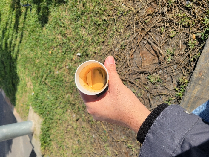 The image captures a top-down perspective of a person's hand holding a white paper cup outdoors. The hand, which appears to be an adult's, has a light to medium skin tone, with the thumb prominently visible resting on the side of the cup. The person is wearing a dark-colored jacket or sleeve with a black elastic cuff visible around the wrist. A glimpse of blue fabric, possibly jeans, can be seen at the far right.
The paper cup contains a light brown or amber-colored liquid, likely coffee or tea, with some dark, irregular marks or residue visible towards the bottom and inner side of the cup, suggesting it might be partially consumed or have settled contents. The inside of the cup shows a slight orange-brown staining.
The background is divided into two distinct areas. To the left, there is a vibrant expanse of green grass, suggesting a well-maintained lawn or park area. Shadows, possibly from trees or an overhead structure, fall across this grassy section, indicating bright sunlight. Along the bottom left edge, a grey metal rail or pipe runs horizontally, with a concrete or paved curb visible beneath it.
To the right, the ground appears drier and more rugged. This area consists of exposed dirt, intertwined roots, dried leaves, and scattered patches of sparse, greenish-brown vegetation. The contrast between the lush green grass and the dry, root-filled ground creates an interesting texture variation in the scene. The overall setting appears to be an outdoor environment, possibly a park, pathway, or a casual outdoor space during daylight hours given the clear lighting. There is no visible text in the image.