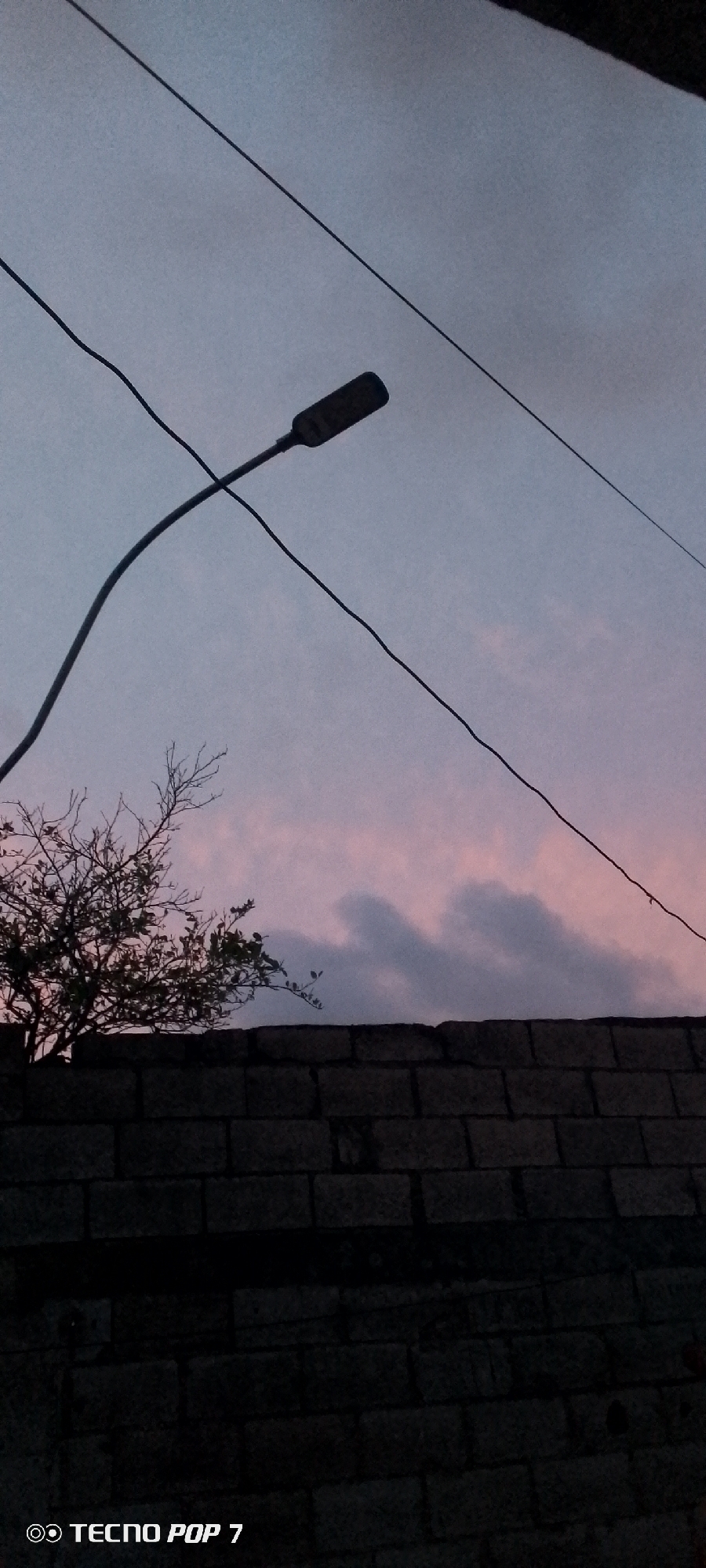 A street lamp is angled against a dusky sky with scattered pink and gray clouds. The lamp is attached to a curved pole, and two dark power lines crisscross the frame. Below the sky, a dark brick wall runs horizontally across the bottom half of the image. A silhouetted bare tree branches out above the wall on the left side. At the bottom left corner of the image, a watermark reads "TECNO POP 7." This scene is consistent with the urban environment of Altagracia, Venezuela, likely captured during twilight.