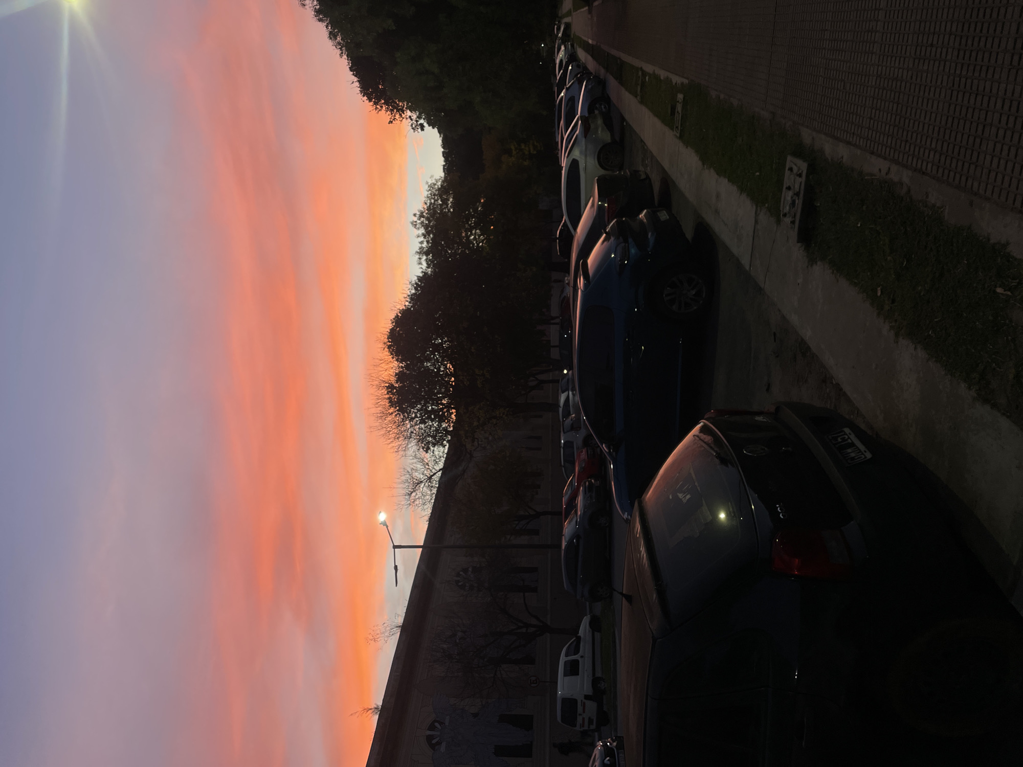The photograph captures a sunset in Buenos Aires, Argentina, next to a parking lot lined with parked cars. The sky displays vibrant shades of orange and purple. A building and a street lamp are visible behind the cars. The cars are parked next to a sidewalk bordering a patch of grass and trees. The photograph is rotated 90 degrees to the left.