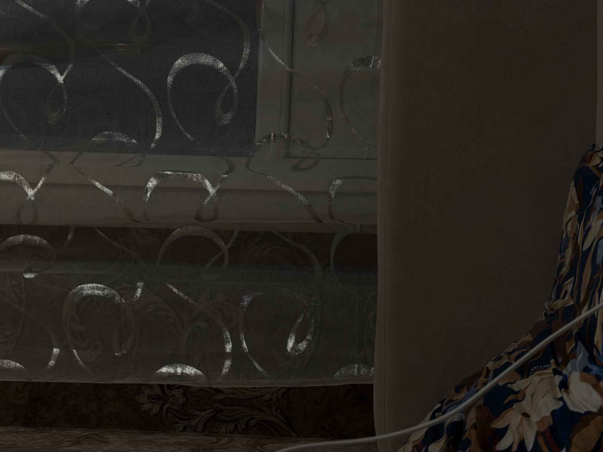 A low-angle, indoor shot shows a couch covered with a floral-patterned throw in the foreground. Behind the couch, a sheer curtain with a swirling metallic pattern hangs in front of a window. The curtain is semi-transparent, revealing the outlines of blinds or a window frame behind it. To the left of the curtain, a wall with dark, textured wallpaper is visible. The lighting is dim, with highlights on the metallic swirls of the curtain, suggesting ambient light from the window. The scene appears to be a residential interior.
