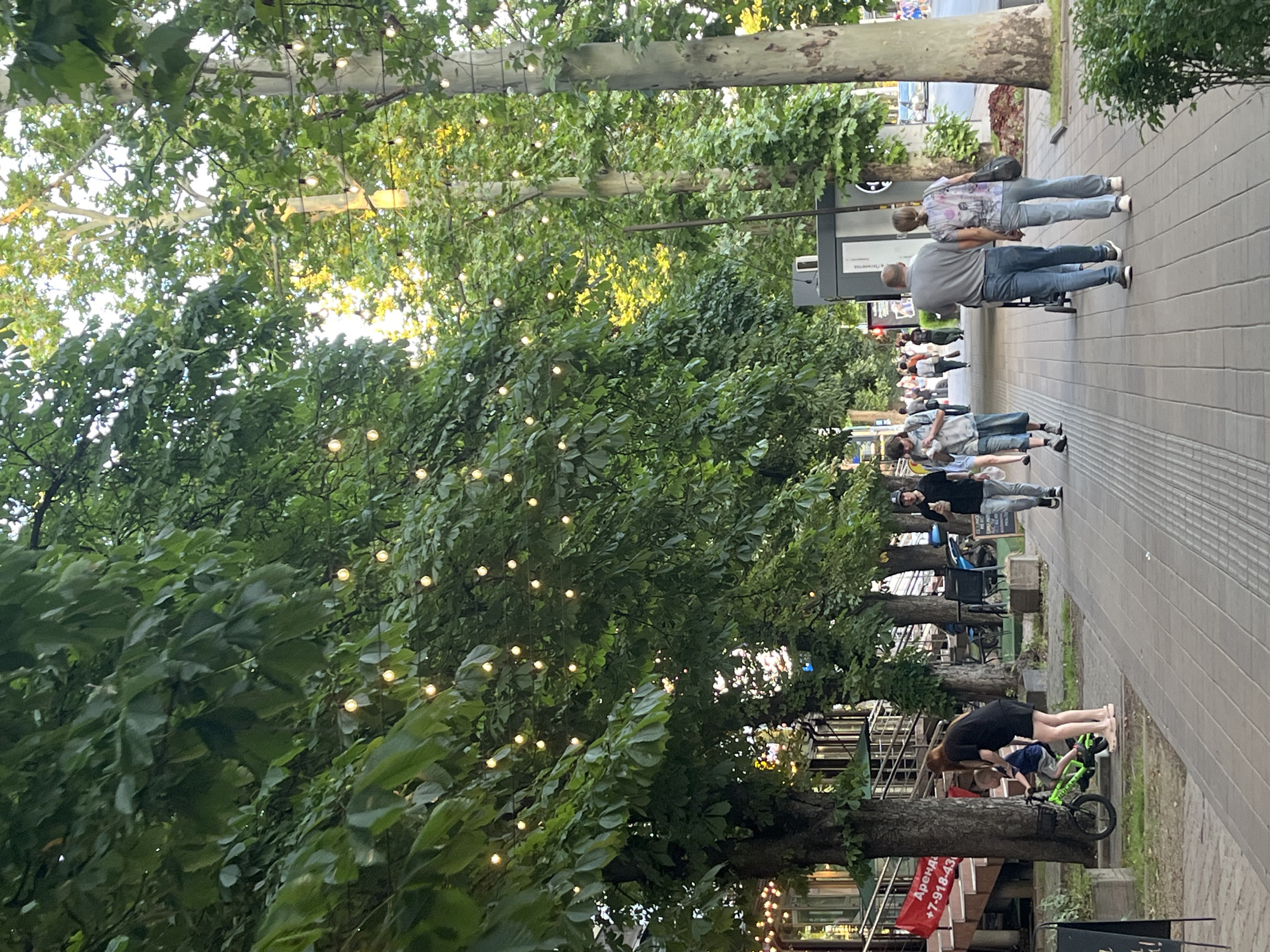 The image depicts a street scene in Krasnodar, Russia, likely during the evening or late afternoon. The foreground features a paved pedestrian walkway lined with trees. String lights are hung between the trees, casting a warm glow.
On the left side of the walkway, a woman in a black dress is attending to a young boy on a green bicycle. Behind them, a building with a red banner displaying Russian text and a phone number is visible, suggesting a commercial establishment. Further down the street, a man in a black t-shirt and jeans walks away from the camera, holding a food item.
In the mid-ground, a couple walks towards the camera, pushing a stroller. The man is wearing a gray polo shirt and blue jeans, and the woman is in a patterned shirt and blue jeans. Other pedestrians are scattered along the walkway in the distance.
The environment includes large trees with lush green foliage, suggesting a pleasant, possibly park-like urban setting. The overall atmosphere appears relaxed and social, with people enjoying a stroll. The background shows more of the street with vehicles and buildings, indicating a city environment.