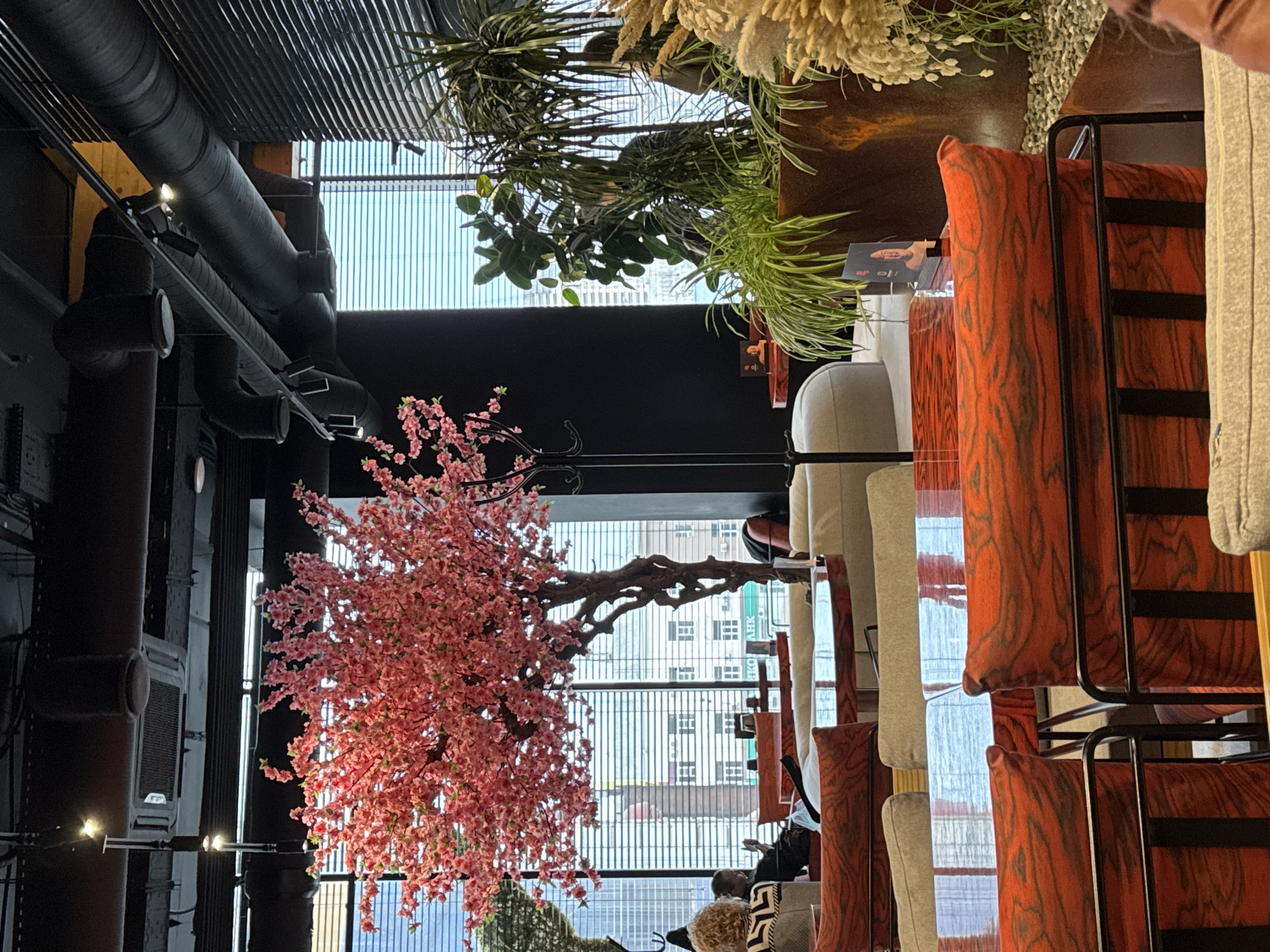 The image depicts an interior scene in what appears to be a restaurant or lounge in Rostov-on-Don, Russia. Tall windows reveal a cityscape with buildings visible through vertical blinds. On the left, industrial-style black pipes run along the ceiling. A large artificial cherry blossom tree with pink flowers stands prominently in front of the windows.
On the right side of the image are rows of chairs with orange patterned cushions, stacked close together. Some individuals are seated in the chairs, seemingly engaged in conversations or relaxing. The overall atmosphere seems contemporary and designed. Plants are seen atop shelves at the edge of the room.