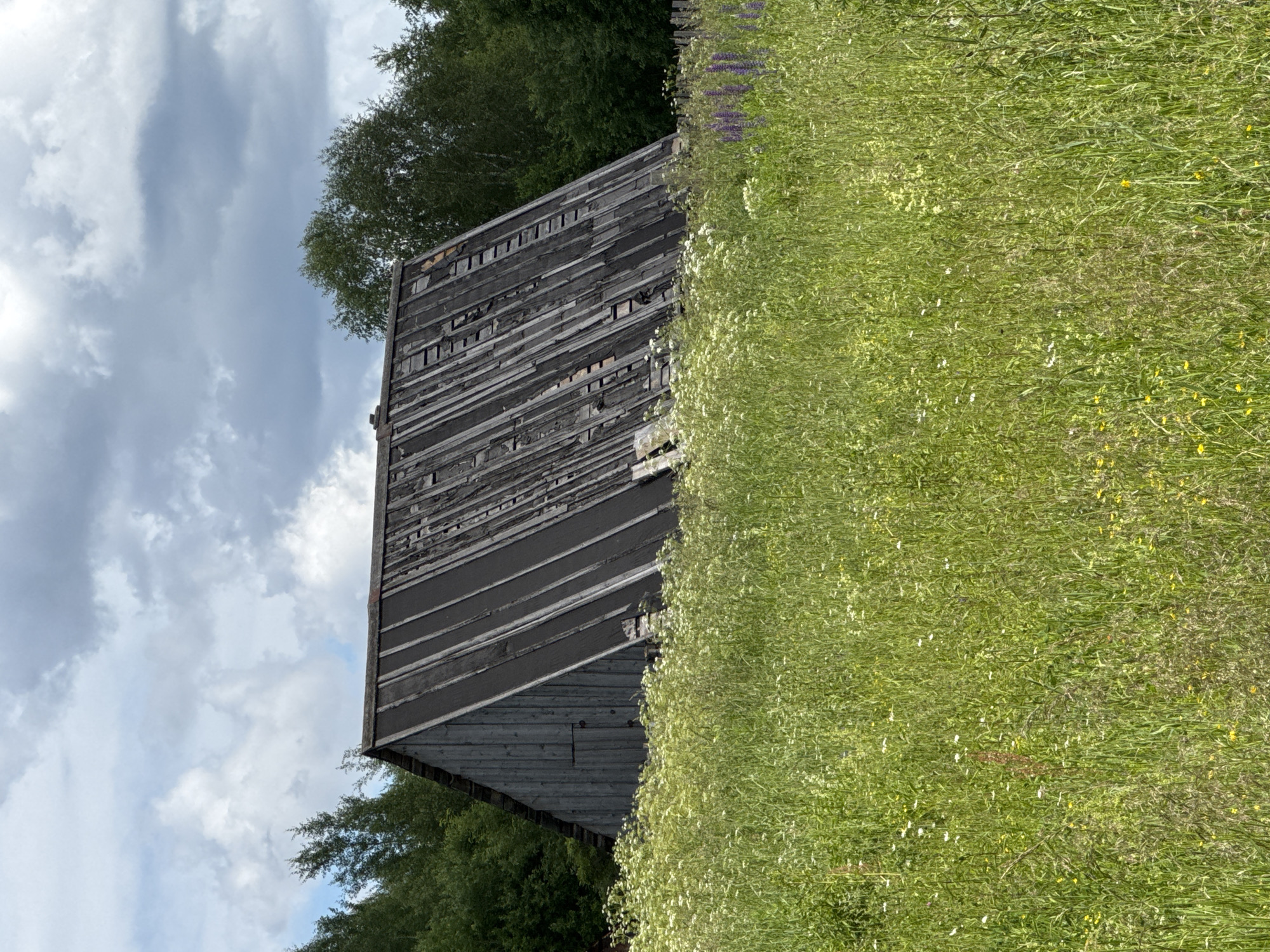 An abandoned wooden shed stands partially obscured by tall, green grass and wildflowers. The shed has a steeply pitched roof covered in dark, weathered material, with some sections appearing damaged or missing. The walls are also made of grey, vertical wooden planks. A small, dark door is visible on the left side of the shed. The background consists of dense green trees and a cloudy sky. The scene is set in a rural or natural environment, possibly on the outskirts of the city of Chelva, Russia.