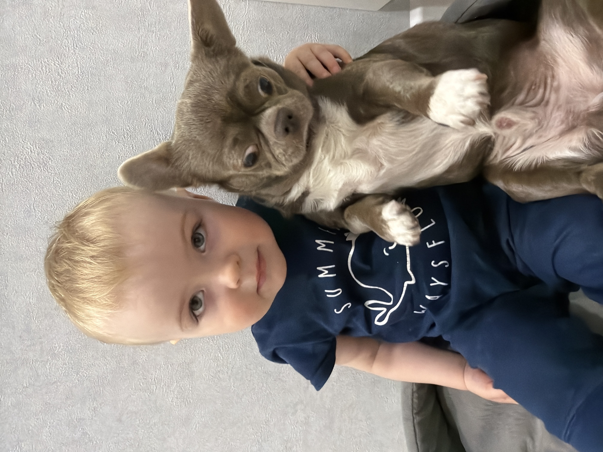 This vertical indoor photograph, taken in Votkinsk, Russia, captures a tender moment between a young child and a small dog. A fair-skinned child with light blonde hair and curious light-colored eyes looks directly at the camera. They are wearing a dark blue t-shirt featuring a white outline of a whale. Above the whale, the word "SUMMER" is visible, and below it, fragmented white text appears, partially reading "WAYSFLO". The child is also wearing dark blue trousers.
Resting on the child's chest or lap is a small, short-haired dog, possibly a Chihuahua or similar breed, with a unique taupe/lilac and white coat. The dog's large, alert ears are perked, and its dark eyes also engage with the camera. One of its front paws is gently placed on the child's arm, indicating a close bond.
The background consists of a light-colored wall with a subtle, textured pattern, suggesting a home interior. A glimpse of a dark grey sofa or cushion is visible on the right side of the frame. The lighting is soft and even, implying an indoor daytime setting. The scene conveys a sense of calm affection and companionship between the child and their pet.