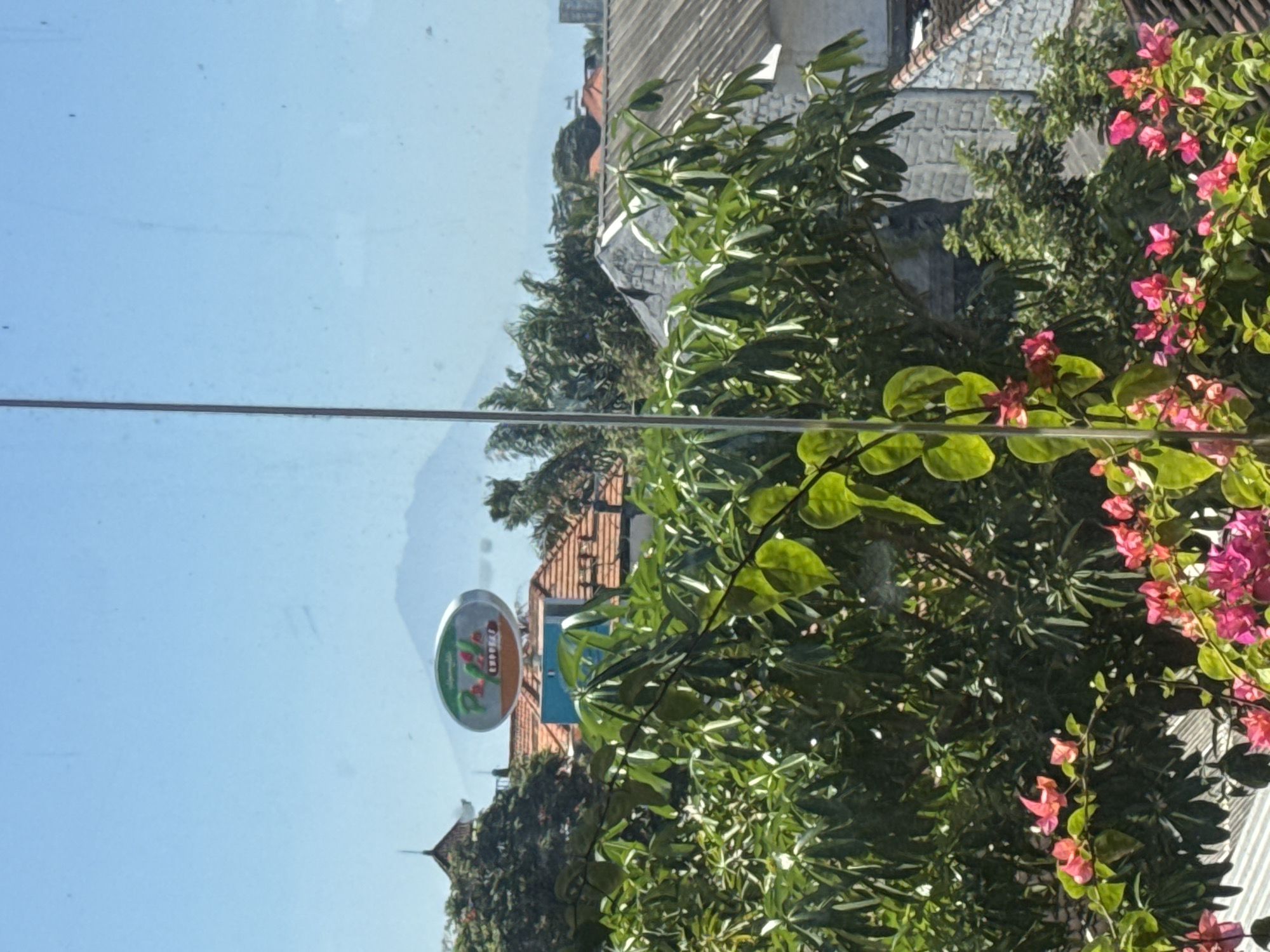 The image captures a bright, sunlit scene in Kuta Selatan, Indonesia, looking through a window with a vertical bar obscuring the view. In the foreground, lush green foliage and vibrant pink bougainvillea flowers dominate, adding a splash of color. Behind the plants, the roofs of several buildings are visible, characterized by terracotta tiles and some stone-clad walls. A prominent oval-shaped sign with green and orange lettering, reading "PADI EXPRESS," is mounted on top of one of the buildings. In the background, a hazy mountain range stretches across the horizon under a clear blue sky. The overall impression is of a tropical urban or suburban landscape on a clear day.