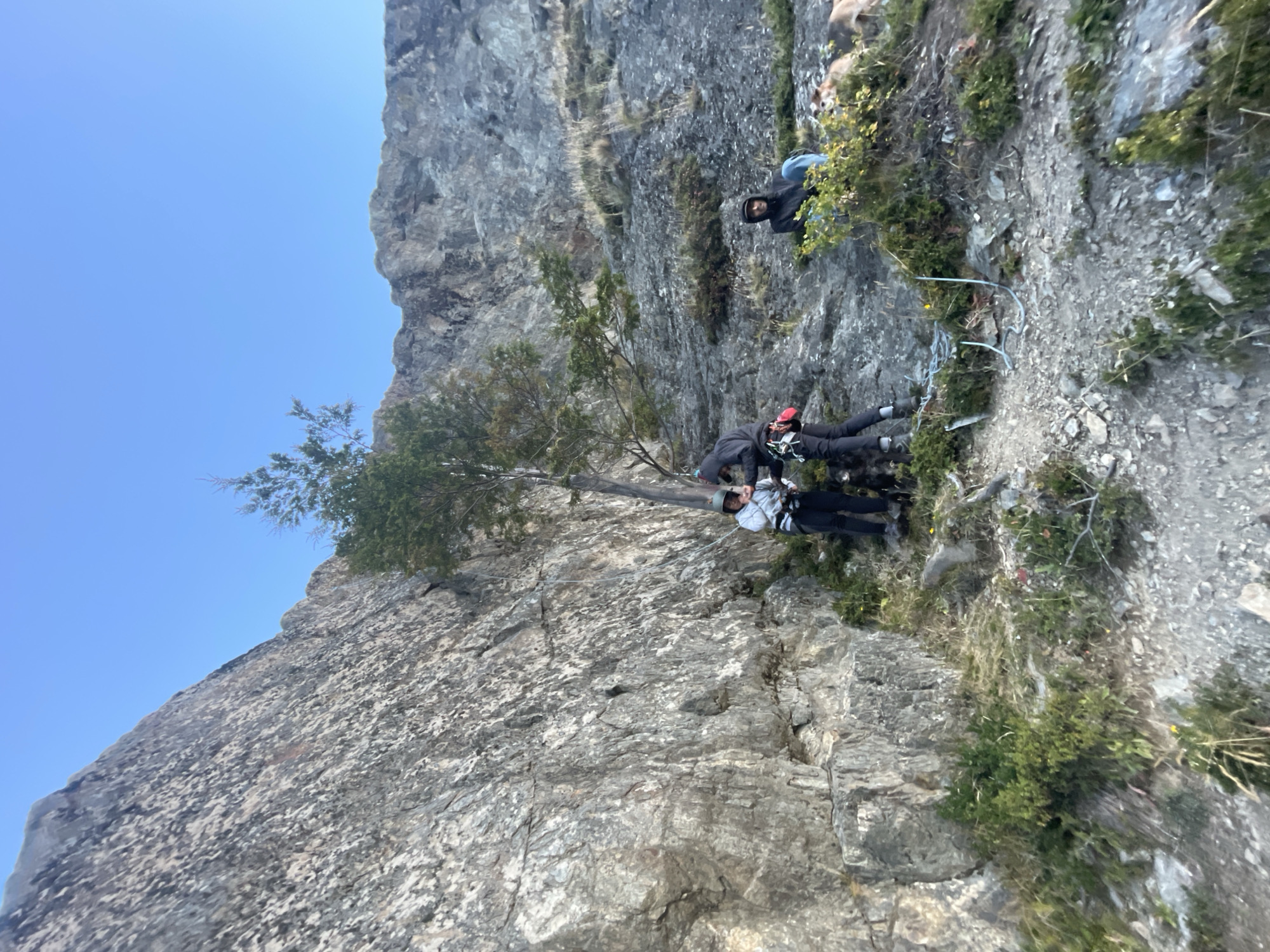 The image shows a group of people on a rocky cliff face in Ushuaia, Argentina. A tall rock face is on the left, with a sparse tree growing on it. Three people wearing climbing harnesses are attached to a safety cable running along the cliff. One person is standing, and the other two appear to be maneuvering down the cliff. A fourth person is standing on a small, grassy ledge above them, observing. The sky is blue.