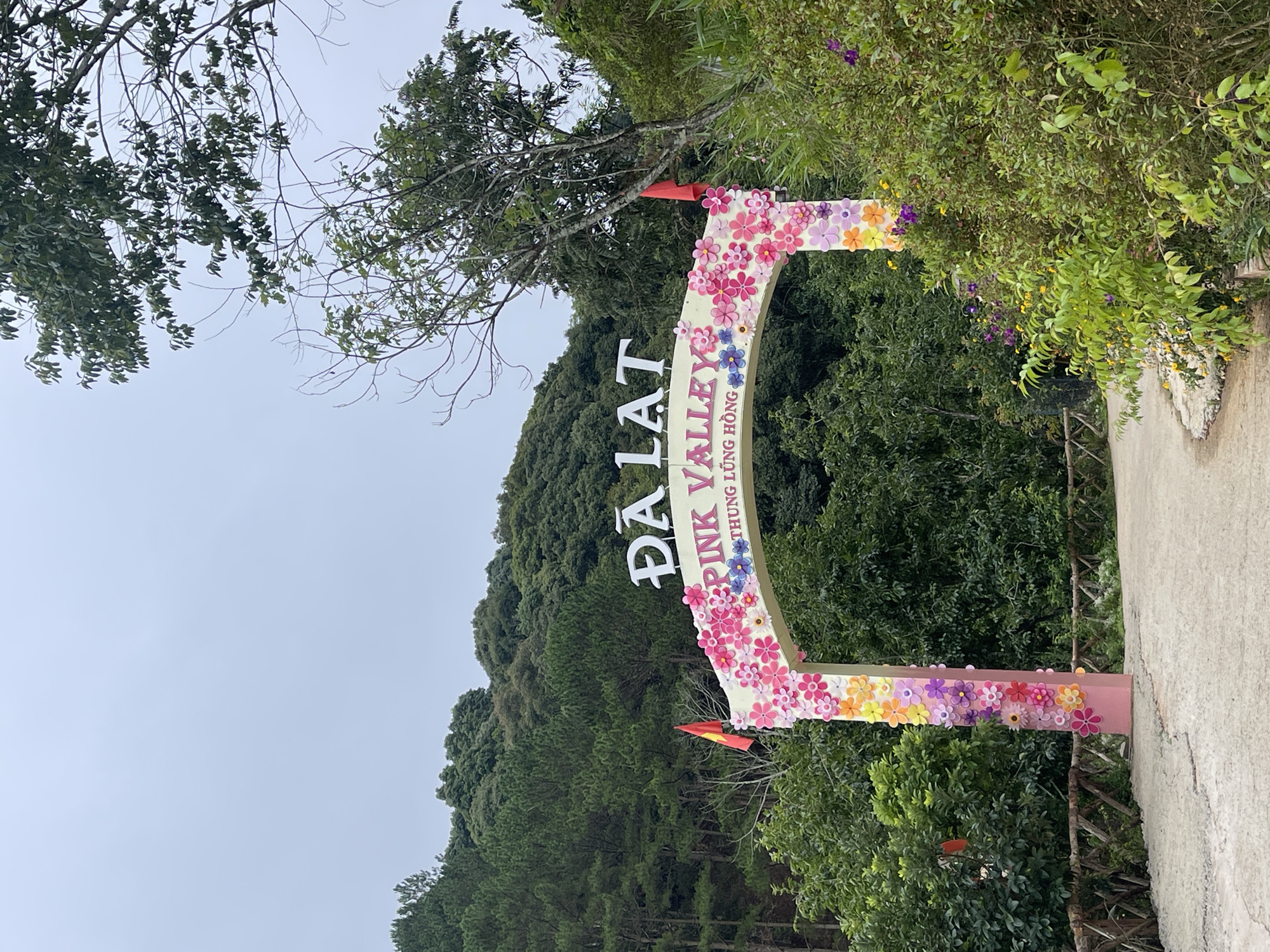 A slightly tilted, medium-shot captures the entrance to "Pink Valley" in Da Lat, Vietnam. The archway, painted white and pink, is adorned with artificial flowers in shades of pink, purple, and yellow. The name "ĐÀ LẠT" is displayed in large, white letters at the top of the arch, with "PINK VALLEY" and "THUNG LUNG HONG" (Pink Valley) below. Red flags are attached to either side of the arch. Lush green foliage and trees form the backdrop. A concrete path leads into the valley on the right. The sky is overcast.