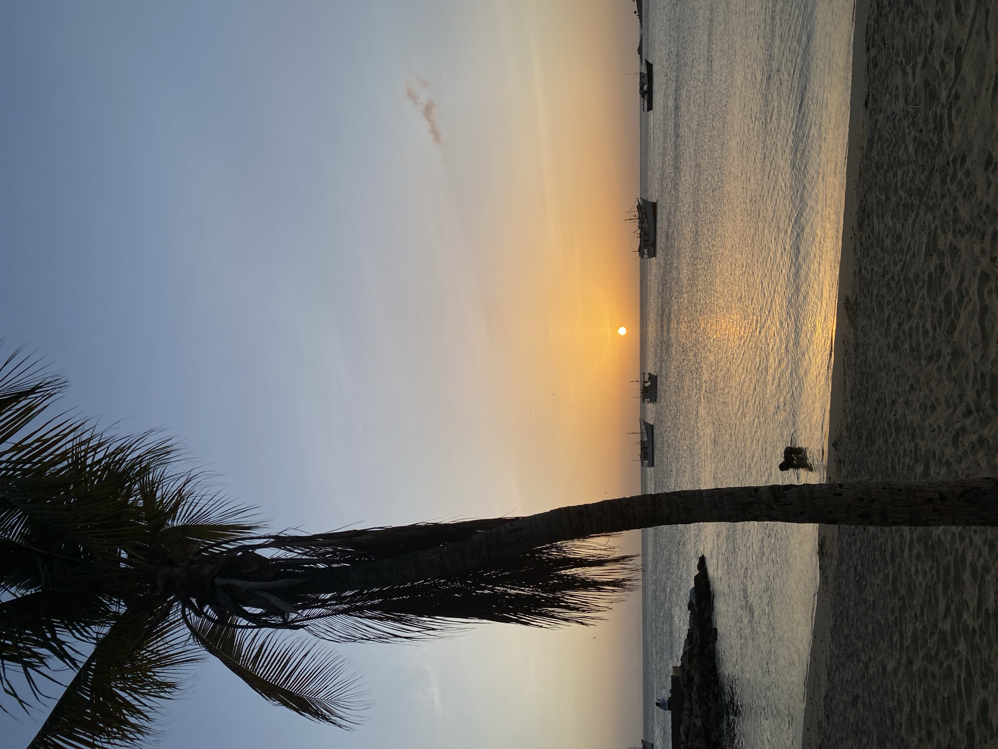 The image shows a beach scene at sunset in Juan Griego, Venezuela. A tall palm tree occupies the lower left of the frame, silhouetted against the fading light. The sky transitions from blue in the upper left to orange near the horizon, where the sun is setting over the ocean. Several boats are visible on the water. A small structure that appears to be made out of stones is visible near the coast on the right. A person is silhouetted in the water near the shore. The beach sand is visible in the lower right corner.