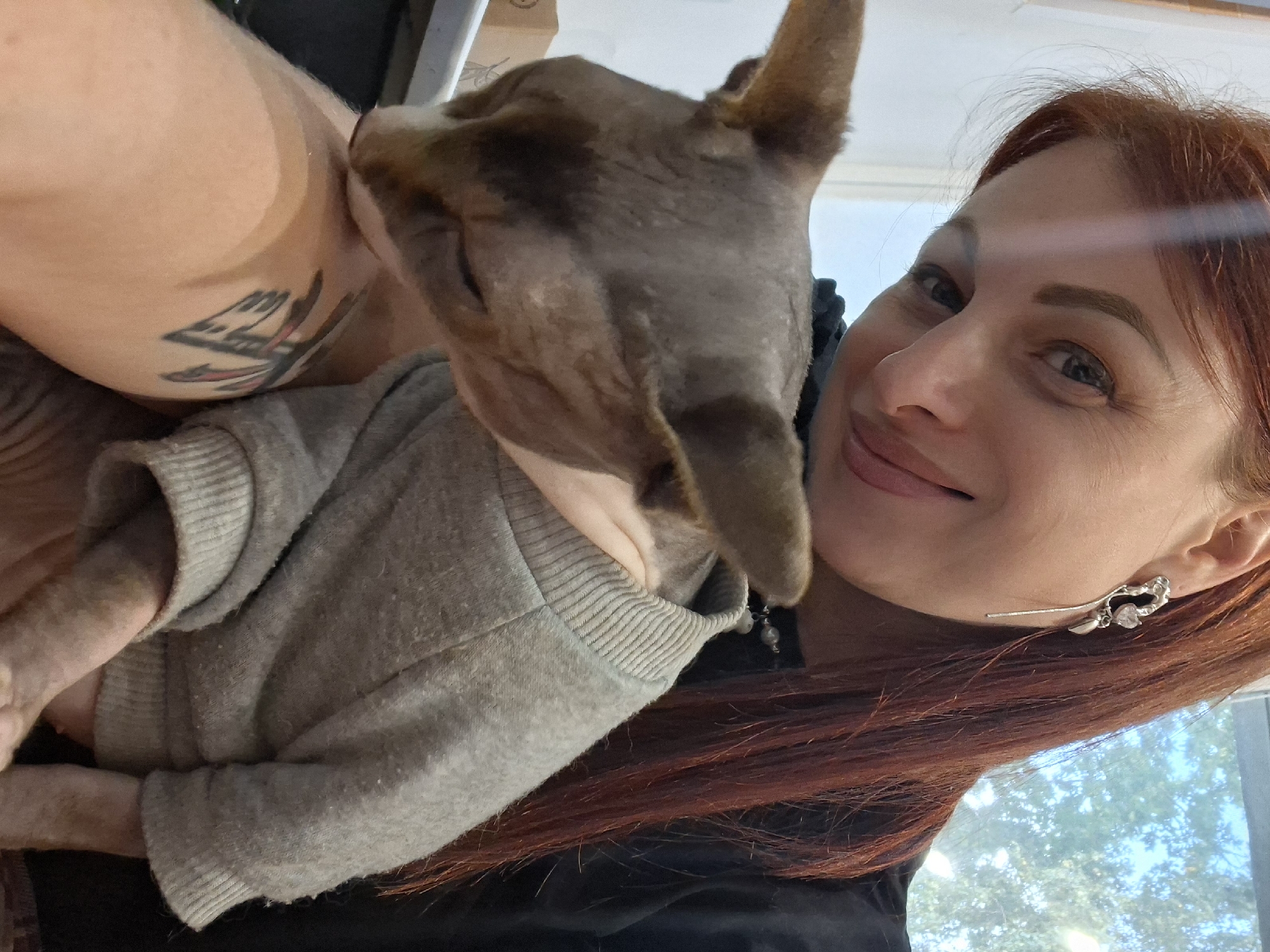 A woman with auburn hair and a visible tattoo on her arm is holding a hairless cat wearing a gray sweater. The cat is nestled against her arm and chest, with its face turned down. The woman is looking towards the camera with a slight smile. The background shows a window with trees and sky visible through it. There is a cardboard box and part of a surface that could be a table or counter in the lower left of the image. The lighting suggests it is daytime. The image does not provide any information about the location in the city of Myadzyel, Belarus.