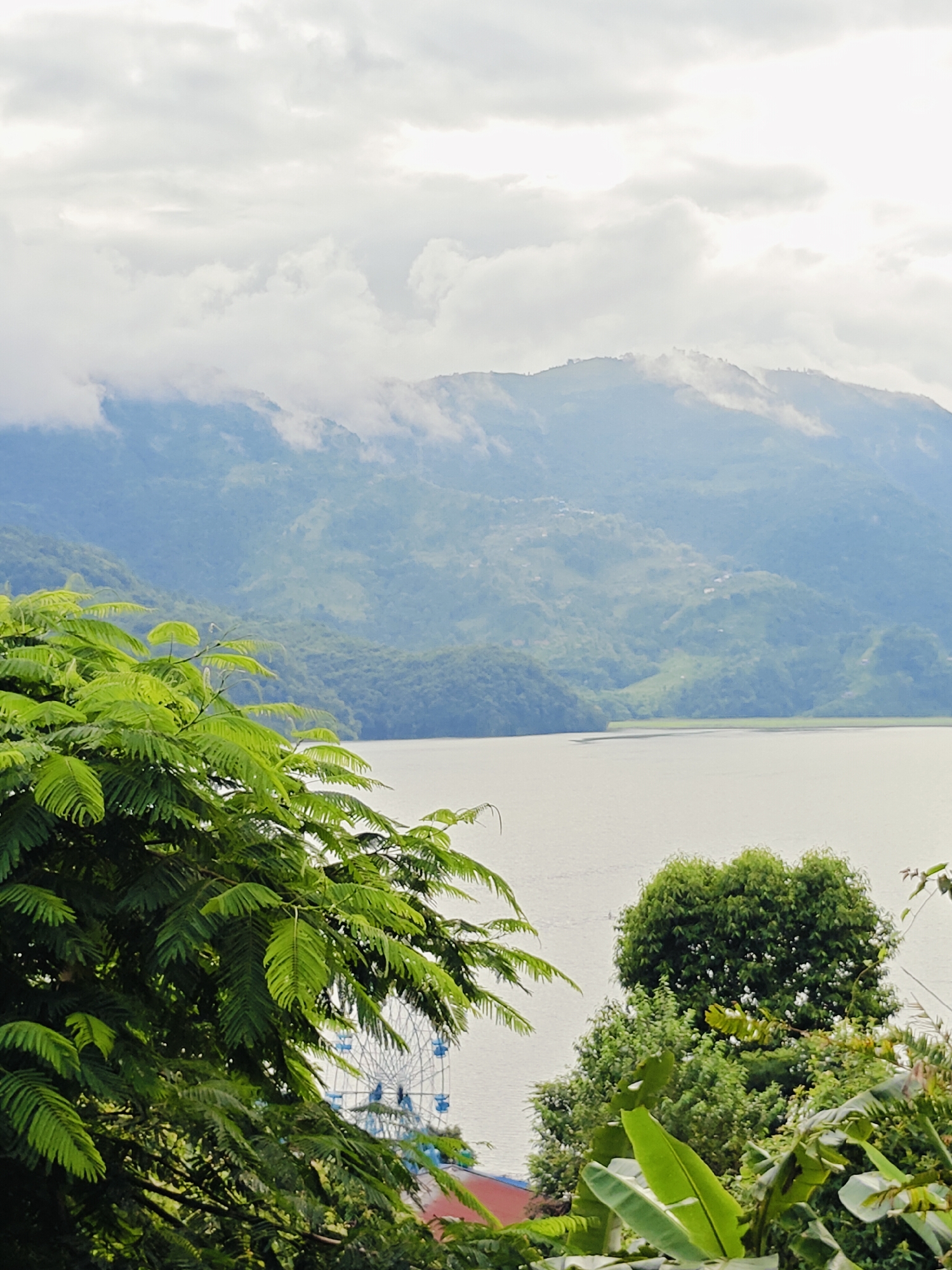 The image captures a serene landscape with a focus on natural beauty and a hint of human presence. In the foreground, lush green foliage from trees dominates the left and lower portions of the frame. These leaves are vibrant and detailed, suggesting a close-up perspective of the vegetation.
Beyond the trees, a large, tranquil body of water stretches across the mid-section of the image. The water appears calm, reflecting the muted light of the overcast sky. In the distance, a series of rolling hills and mountains rise, their slopes covered in dense greenery. The peaks are partially shrouded in clouds, creating a soft, atmospheric effect that lends a sense of depth and mystery to the scene.
Subtly visible amidst the foliage on the left side of the image is a Ferris wheel, its white structure and blue cabins standing out against the natural backdrop. This suggests that the scene is located in or near an area with recreational activities, possibly a park or a lakeside resort. The presence of the Ferris wheel provides a contrasting element of human engineering within the otherwise untouched natural environment.
The sky is overcast with scattered clouds, diffusing the sunlight and creating a soft, diffused light that illuminates the entire scene. The overall impression is one of peacefulness and natural grandeur, with a touch of man-made entertainment adding a point of interest. The location is likely a scenic spot in Pokhara, Nepal, known for its stunning natural beauty, including lakes and mountain ranges.