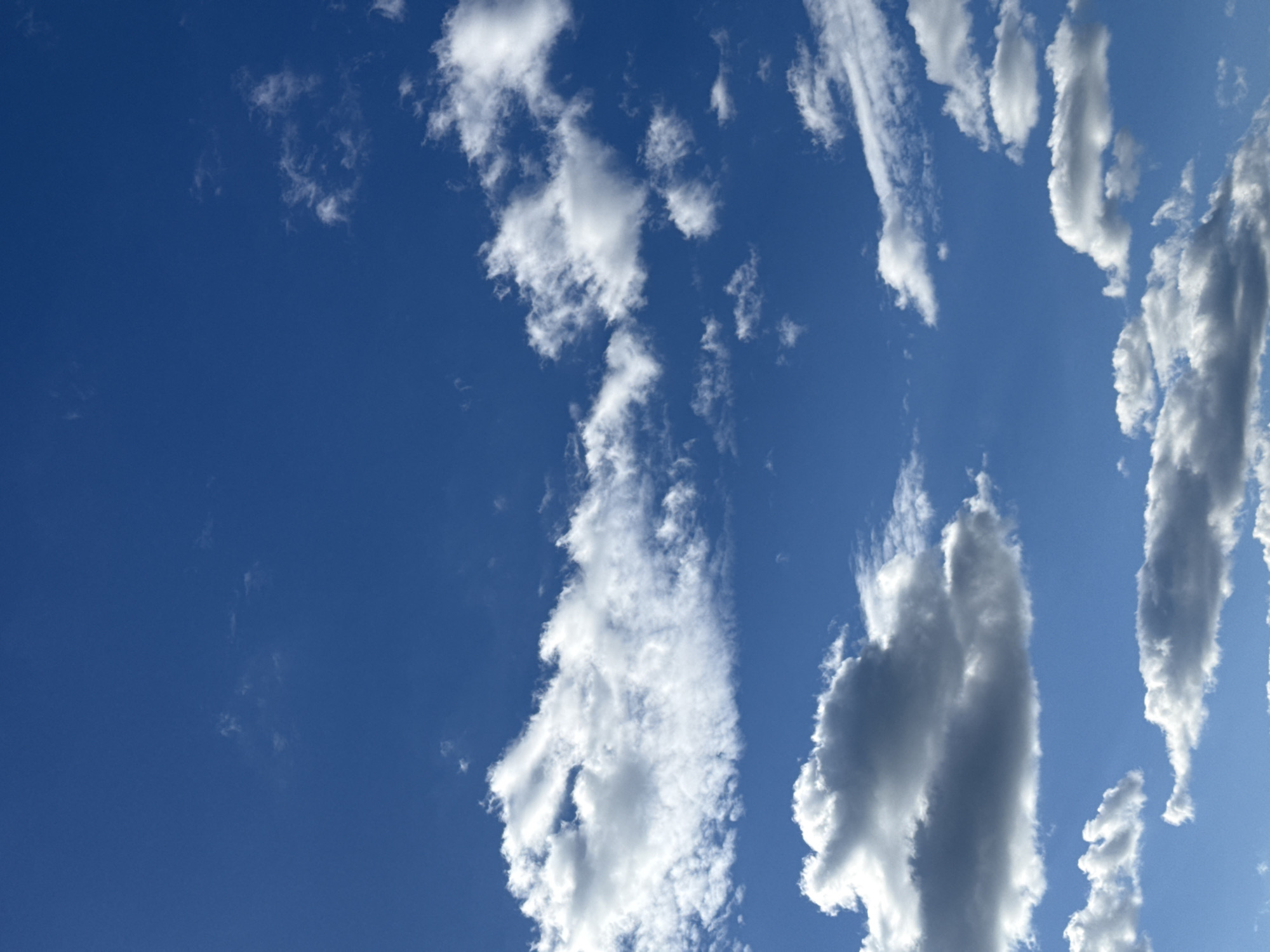 The image shows a bright blue sky with scattered white clouds. The clouds vary in size and shape, with some appearing wispy and others more dense. The overall scene is peaceful and serene, with no specific activity or event taking place. It is daytime, likely mid-morning or afternoon, given the brightness of the sky. There are no discernible location cues or visible text in the image. The weather appears to be clear and fair, with a good amount of sunshine. The scene evokes a sense of calm and openness, typical of looking up at the sky on a pleasant day.