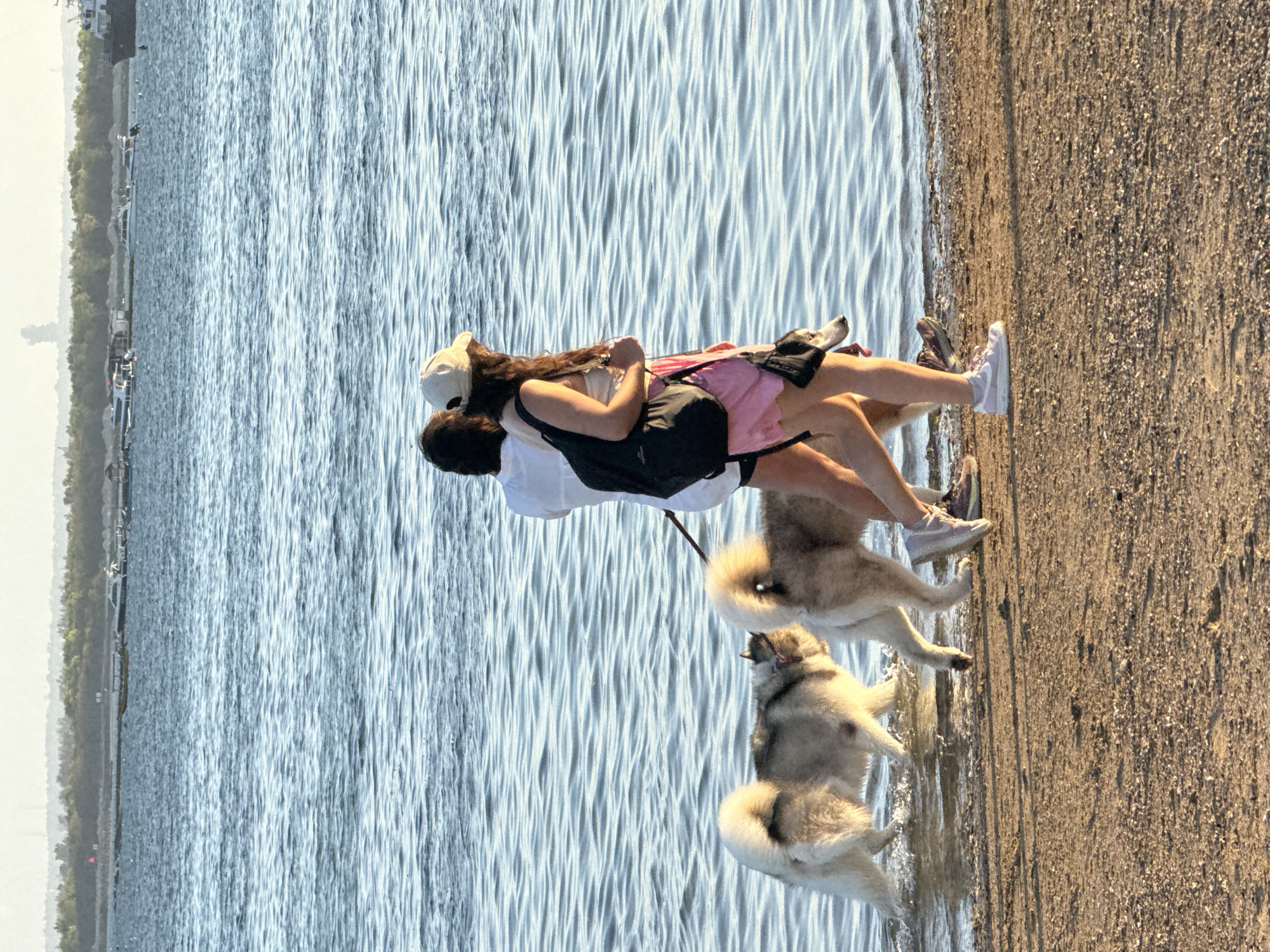 Two individuals, one wearing a white shirt and the other a beige top and pink skirt, are walking their dogs along a sandy shoreline. The dogs appear to be Huskies. The water is a calm blue, with gentle waves lapping at the shore. In the background, there is a body of water with several boats and a distant, hazy shoreline with trees. The lighting suggests it is late afternoon or early evening. The image does not provide any specific clues to identify the location as Denpasar, Indonesia.