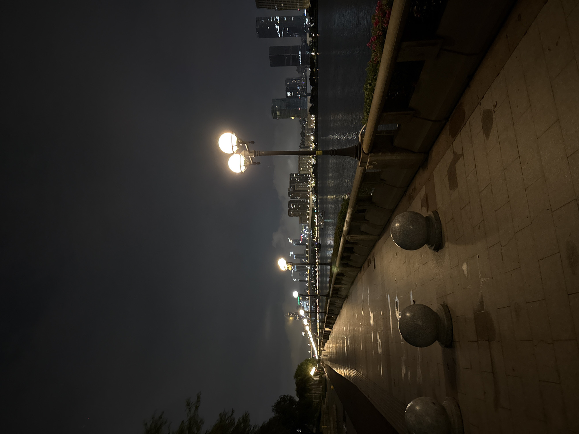 This media file captures a nighttime scene along a waterfront promenade in Haizhu District, China. The image is oriented vertically, showing a pathway illuminated by a series of streetlights. In the foreground, the paved path has a wet appearance, reflecting the lights and creating shimmering patterns. Several spherical bollards, made of granite, are visible along the right side of the path.
Beyond the promenade, a calm body of water is visible, with a city skyline on the opposite bank. The skyline is dominated by modern skyscrapers, many of which are lit up, suggesting the time is after dusk. Along the waterfront, more streetlights can be seen, forming a receding line of illumination. A planter box with some greenery and red flowers is present along the edge of the promenade. The sky is dark and overcast, with a few faint clouds visible.
The overall mood is serene and perhaps a little melancholic, with the empty promenade and the glow of city lights across the water. There is no visible text in the image. The scene suggests a quiet evening walk or a moment of reflection by the water.