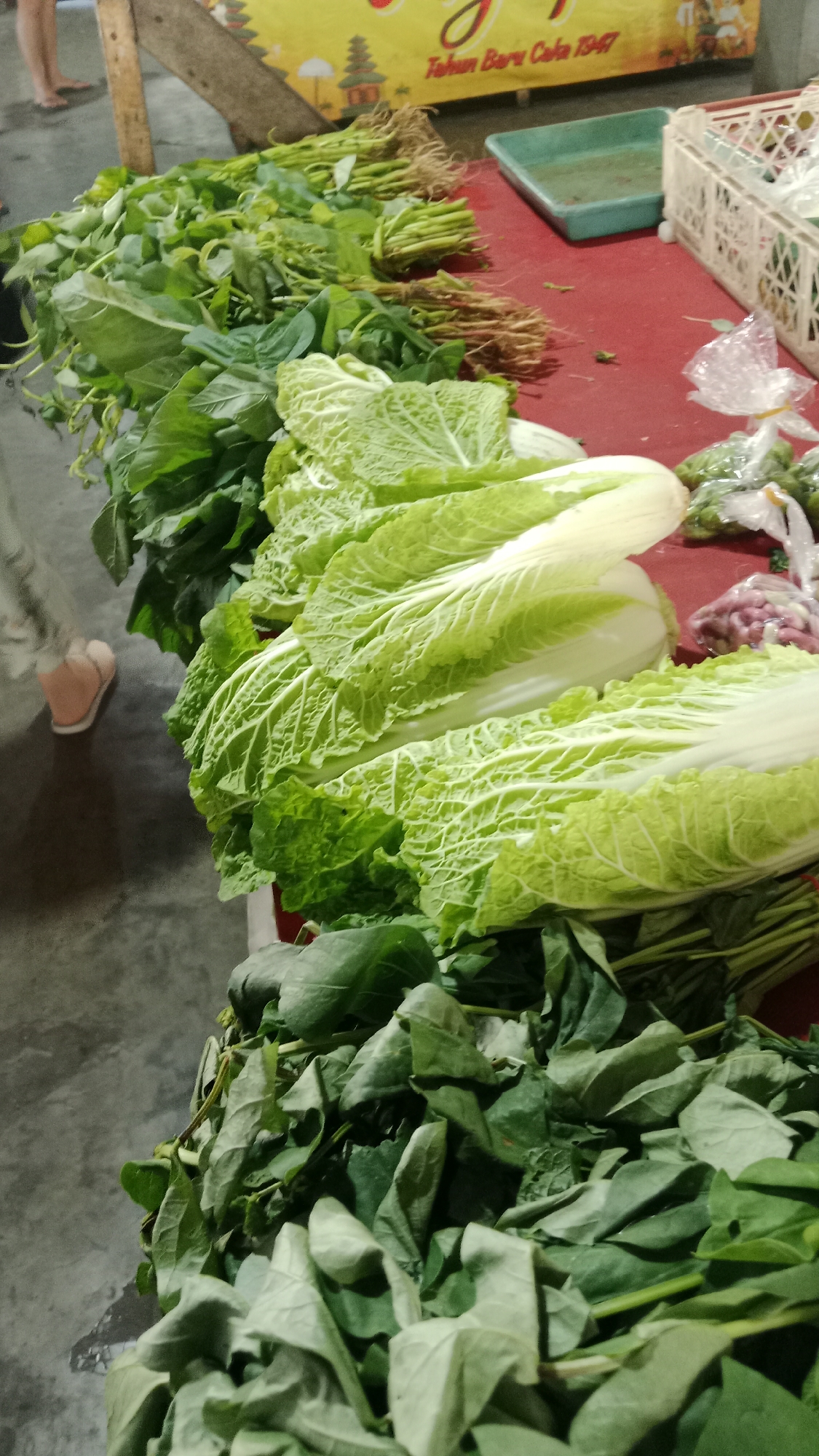 The image depicts a stall at a market in Denpasar, Indonesia, likely showcasing fresh produce for sale. In the foreground, a large pile of green leafy vegetables, possibly spinach or water spinach, is visible. Behind this, a row of large Napa cabbages dominates the mid-ground, their pale green leaves tightly packed. Further back, bundles of green vegetables with visible roots, likely also herbs or greens, are arranged. A red tarp covers the stall's surface, and to the right, a white plastic crate and a green plastic tray are present. A yellow banner with Indonesian text and imagery of Balinese temples is visible in the background. In the far left, a person's legs and feet, clad in light pink sandals, are visible, suggesting a shopper or vendor interacting with the stall. The overall scene suggests a typical street-side market environment in Denpasar.