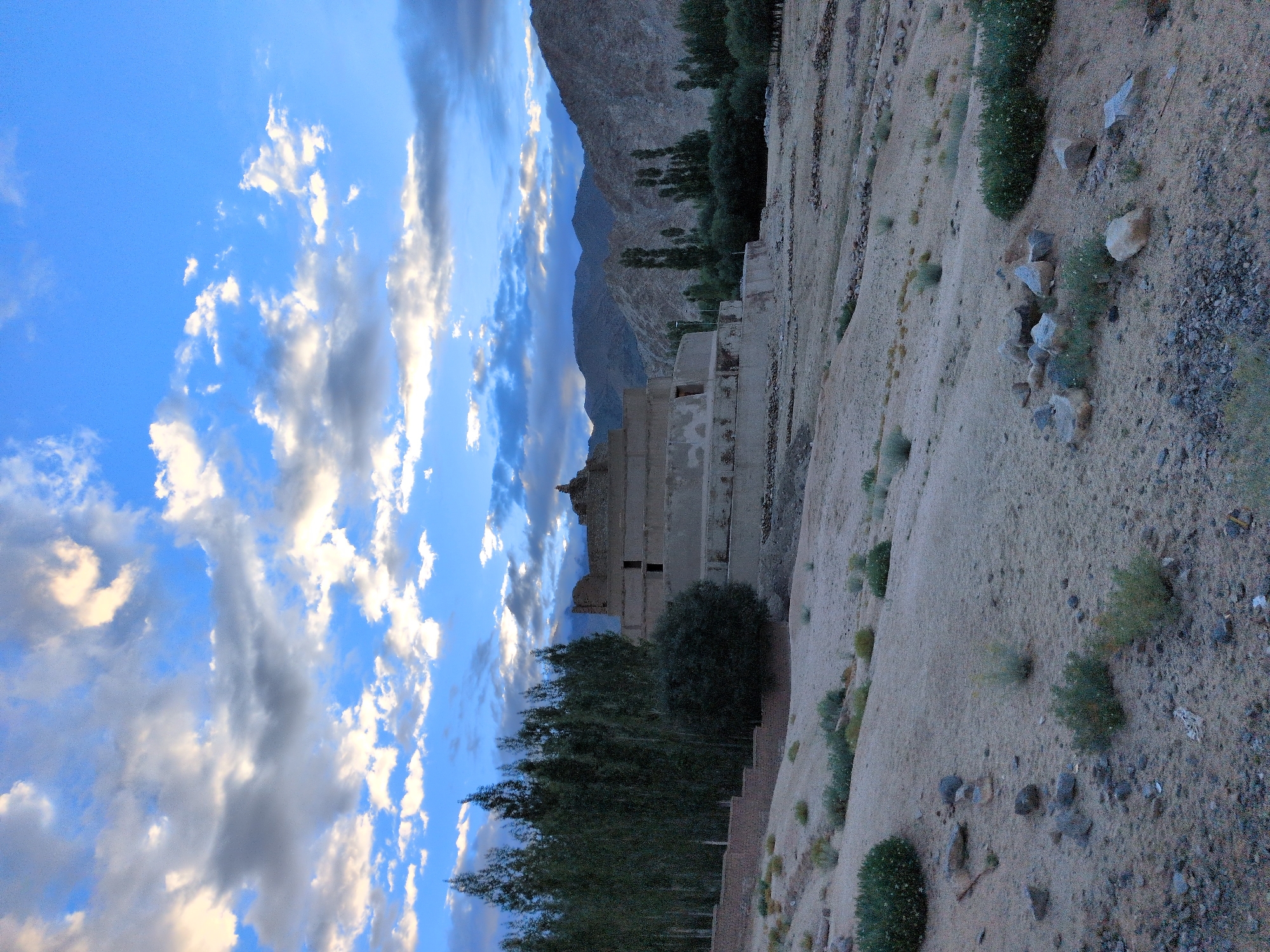 A wide shot shows a desert landscape with a terraced ancient structure in the distance under a dramatic sky. The structure, likely ruins, is made of light-colored stone and has multiple levels with dark rectangular openings. It is situated on a sandy slope, surrounded by sparse vegetation. To the left of the structure, a dense cluster of tall, slender trees forms a dark green line. In the background, rolling hills and mountains are visible, also appearing arid and rocky. The sky above is a vibrant blue, populated by scattered, fluffy white and grey clouds that are catching the light, suggesting either dawn or dusk. The foreground consists of sandy terrain with scattered rocks and low-lying green shrubs. The image appears to be of the remnants of the Basgo Monastery, located in Leh, India. There are no people or discernible actions taking place.