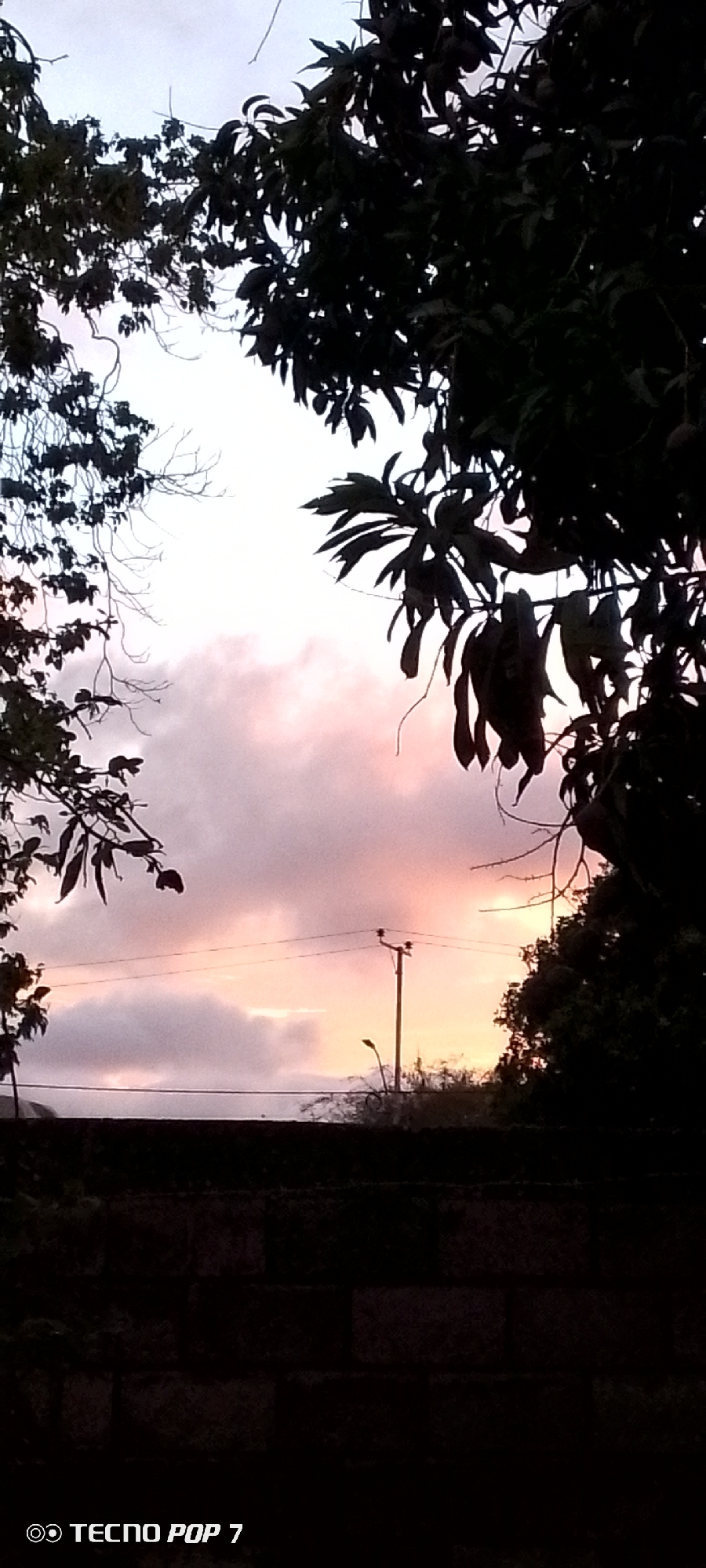 The image captures a silhouetted view of trees and a brick wall against a sky with soft pink and orange hues, indicative of either sunrise or sunset. A power line with two poles and a street lamp are visible in the middle ground. The lower portion of the image shows a dark, textured brick wall. The bottom left corner displays the text "TECNO POP 7", a mobile phone brand and model. The scene is likely situated in Altagracia, Venezuela, given the presence of a power line and the general landscape suggested by the trees and sky. No people are visible in the image.