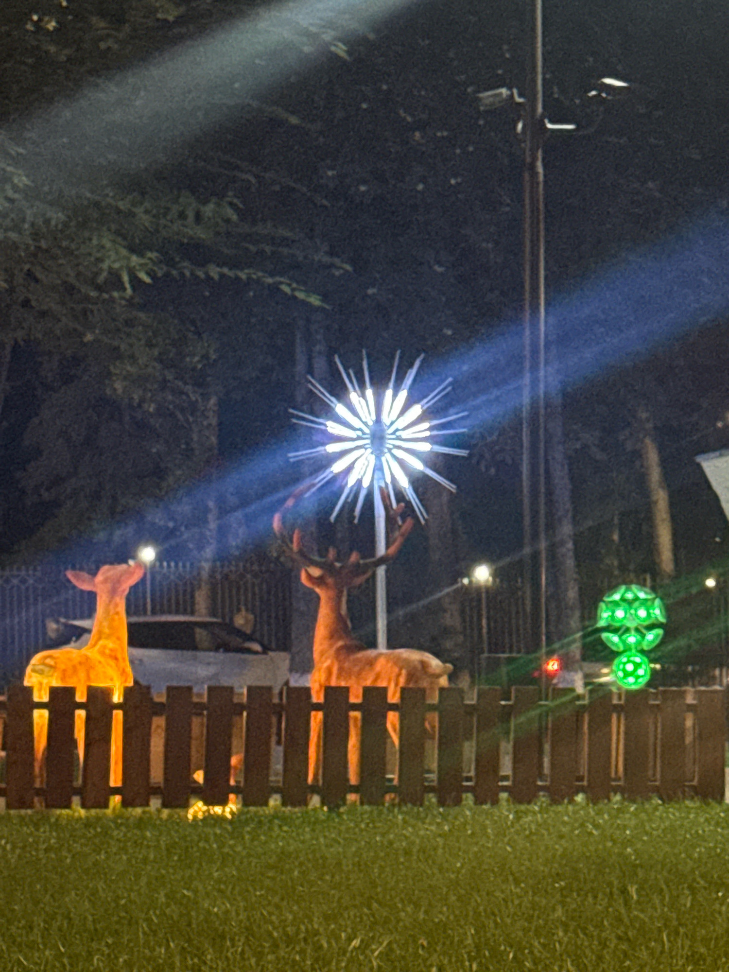 The image depicts an outdoor scene at night, likely a park or public space in Bishkek, Kyrgyzstan, decorated for a festive occasion. In the foreground, a neatly manicured lawn is visible. Behind the lawn, a dark wooden fence spans the width of the frame.
Beyond the fence, several illuminated objects are present. Two large, stylized deer figures, glowing with an orange light, are positioned towards the left and center of the image. The deer on the left is a profile view, while the deer on the right is more fully visible from the side, displaying prominent antlers.
In the mid-ground, behind the deer, a car is partially visible. Further in the background, a tall lamppost stands, with a bright, star-shaped light fixture attached to it. A strong beam of blue light emanates from this fixture, cutting across the dark sky. To the right of the lamppost, a spherical, green-lit decoration is visible, appearing as a cluster of interconnected orbs.
The overall ambiance suggests a nighttime event or holiday display, with artificial lighting illuminating the decorative elements. The environment appears to be urban, given the presence of the lamppost and the car.