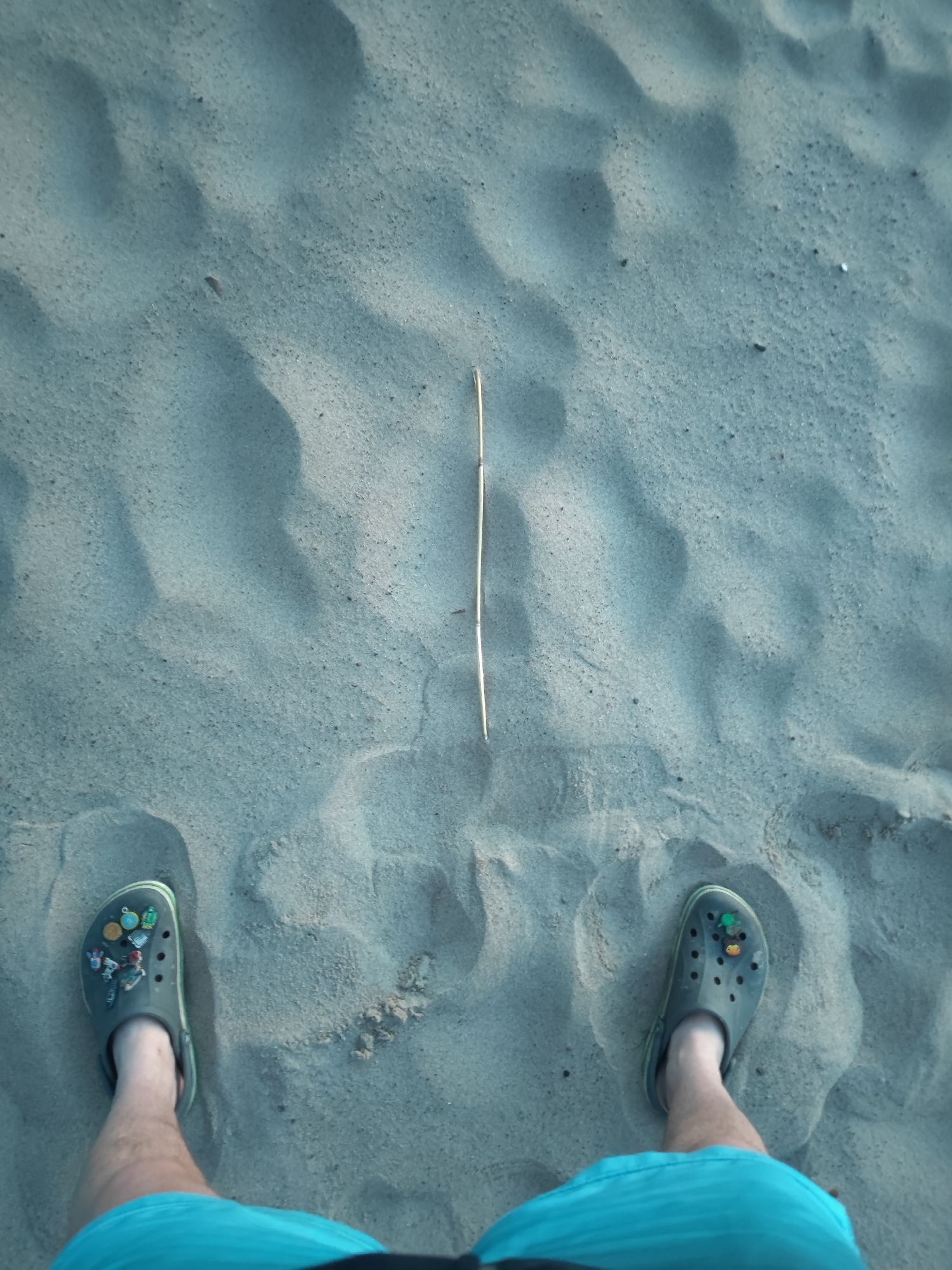 In the city of Motornoe, Russia, an individual stands on a sandy surface, viewed from a top-down perspective. The sand exhibits undulating patterns, indicating the presence of dunes or ripples. The individual is wearing two dark-colored crocs, each adorned with various colorful charms. On the left croc, charms depicting various small objects like a globe, a small building, a person figure, and a red bus are visible. The right croc features a green charm and a small yellow and red charm. The individual is also wearing turquoise shorts. Centrally positioned between the person's feet is a thin, light-colored stick lying horizontally on the sand. The lighting suggests it is daytime, with shadows cast by the sand's contours.