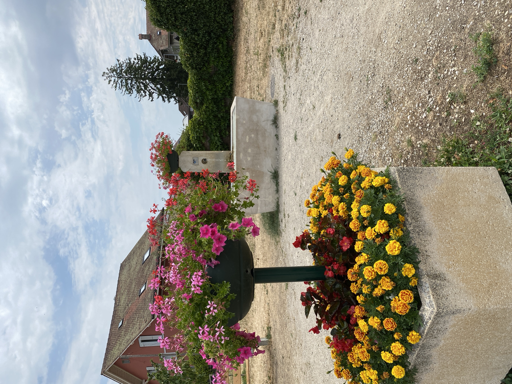 A public water fountain with a rectangular basin is situated in a courtyard area. In the foreground, a large stone planter overflows with bright yellow and orange marigolds, and dark red foliage. Behind this, a tall, dark green pole supports a round planter filled with cascading pink and red geraniums. The fountain itself is made of weathered concrete and features a spout from which water is actively flowing into the basin. Behind the fountain, a lush green ivy-covered wall borders the property. In the background, a red-roofed building with dormer windows and a mature evergreen tree are visible, set against a cloudy sky. The ground is covered in gravel. This scene is located in the town of Boudry, Switzerland.
