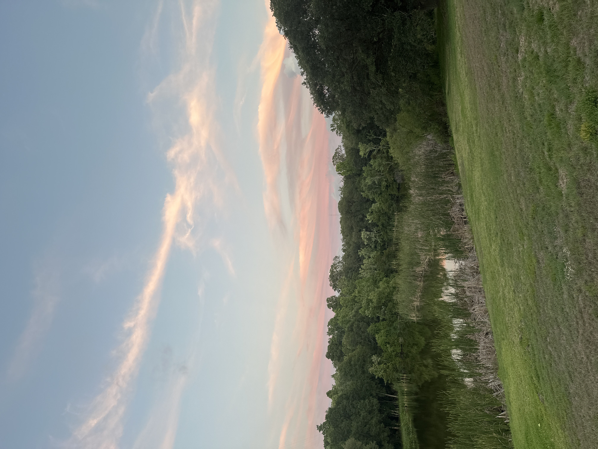 The image depicts a landscape scene in Riverview, United States of America. The sky is visible on the left side of the frame and features a blend of light blue hues with streaks of pink and white clouds. A row of trees and foliage lines the mid-section of the image, reflecting in the water below. To the right, a grassy area extends to the edge of the frame. No people are visible.