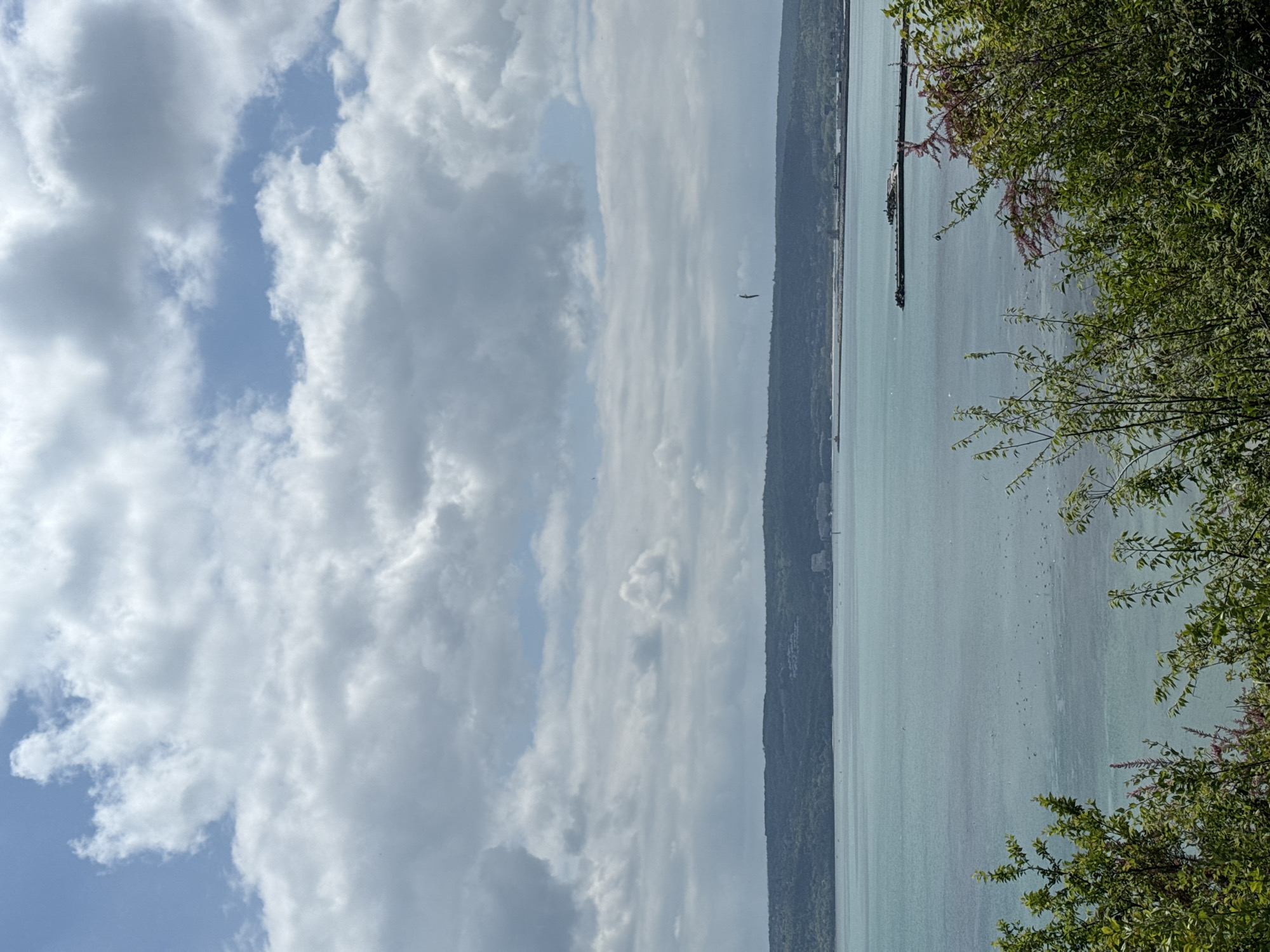 The image depicts a landscape with a body of water, likely the Black Sea, viewed from a slightly elevated position. In the foreground on the right side, there are branches and leaves of a tree or shrub. The water stretches out into the distance, with a strip of land visible on the opposite side. The sky is filled with clouds, ranging from fluffy white to darker gray formations.
Based on visual cues, it is difficult to precisely pinpoint the location within Varna. However, the presence of the sea and the land formations suggest a coastal area, potentially near a park or a viewpoint overlooking the sea. There are no visible people or distinct interactions in the frame. There is a pier in the distance.