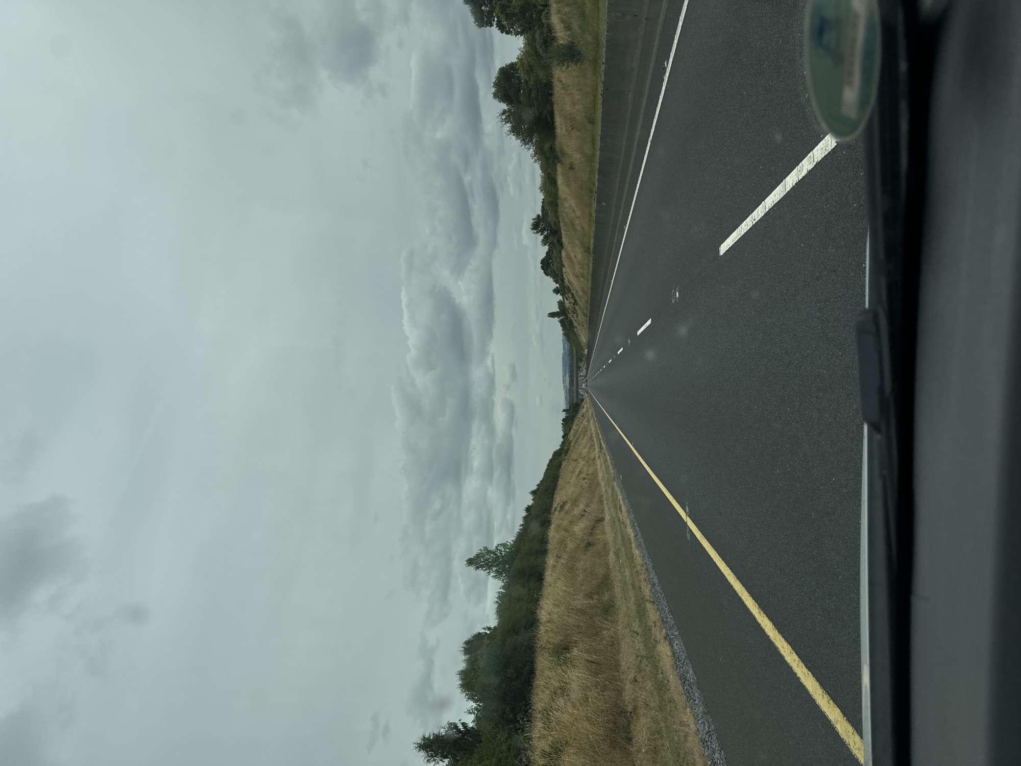 The image is a first-person perspective of driving on a highway in Lough, Ireland, under a cloudy sky. The road is asphalt with a yellow line on the left and white lines on the right, indicating multiple lanes. On the left side of the road, there is a grassy embankment with dry grass and scattered trees. On the right side, a concrete barrier separates the road from more vegetation and trees. The overall impression is of a rural highway in overcast weather.