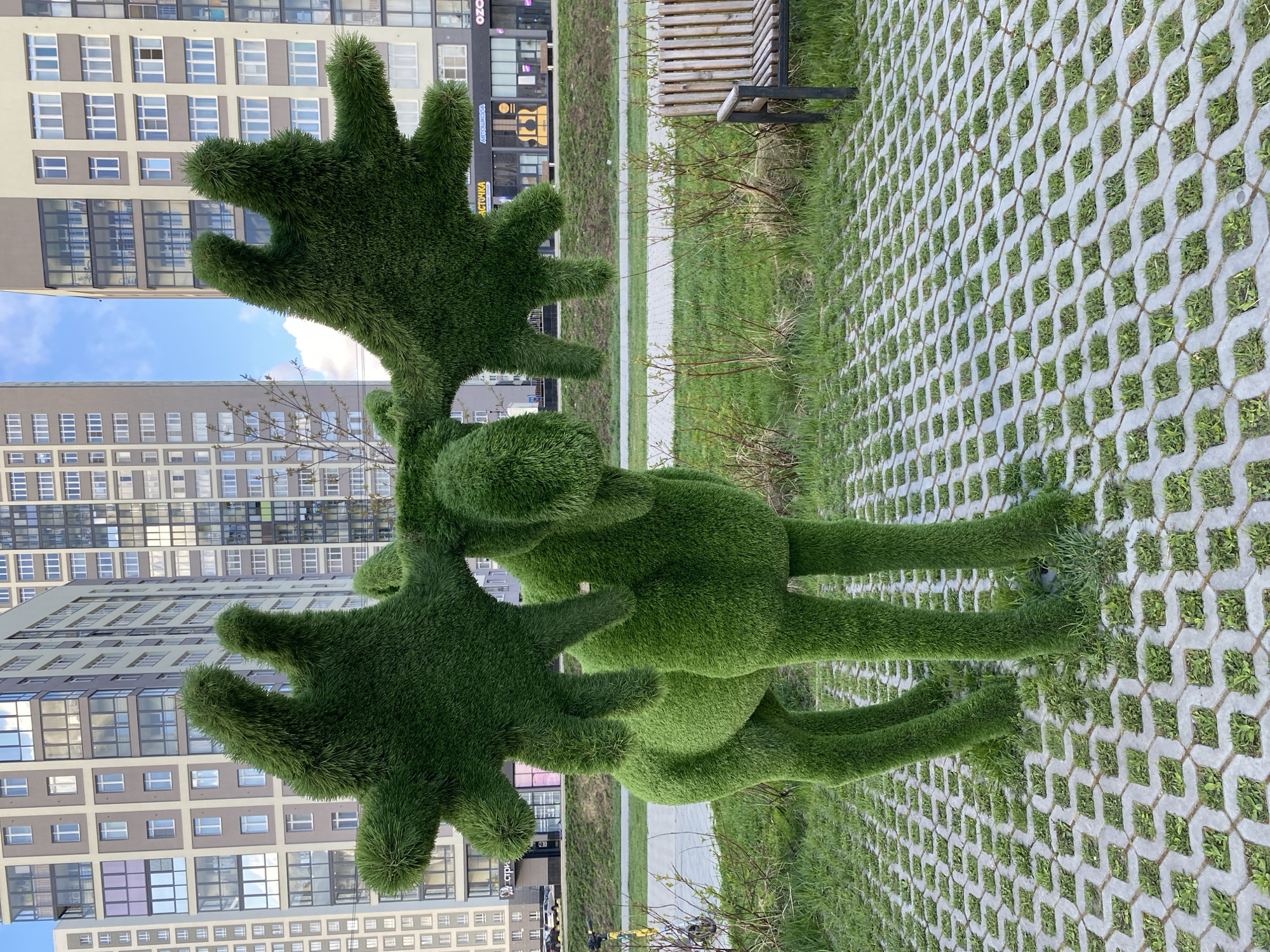 The image shows a topiary in the shape of a reindeer located in a park in the city of Yekaterinburg, Russia. The reindeer is made of green grass or a similar material and stands on a paved surface with grass growing in between the pavers. In the background, there are several multi-story buildings with numerous windows, a sidewalk, a bench, and other greenery. The sky is partly cloudy.