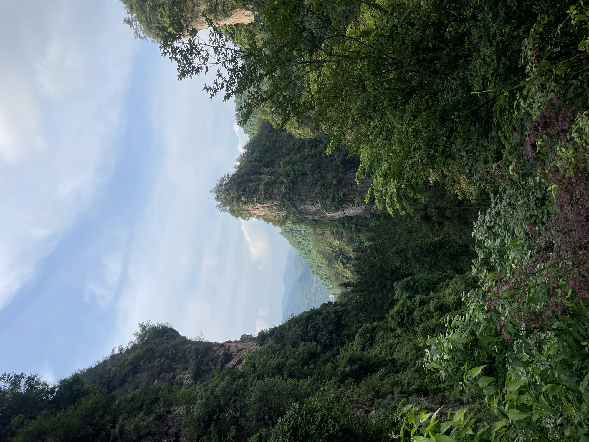 The image depicts a view within the Wulingyuan Scenic Area in Zhangjiajie City, Hunan Province, China. It shows steep, forested cliffs characteristic of the region's sandstone pillar formations. Lush green vegetation covers the majority of the rock formations. In the distance, other mountains are visible through a break in the cliffs. The sky is partly cloudy. There are no people visible in the scene.