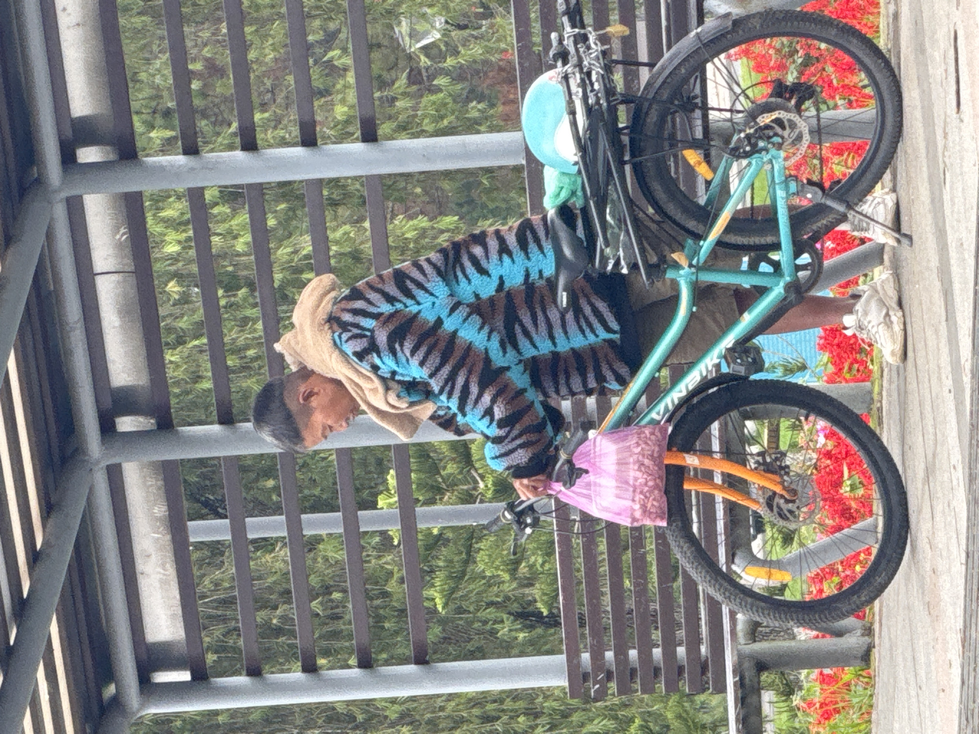 An outdoor, eye-level shot captures a person standing next to a bicycle in what appears to be a park or pathway in Da Lat, Vietnam. The person, an adult with short dark hair, is seen from the side, looking down towards the bicycle. They are wearing a distinctive multi-colored fleece jacket with blue, black, and brown striped or swirled patterns, light-colored shorts, and a light brown towel draped around their neck and shoulders.
The bicycle, a mountain bike style, has a prominent teal or light blue frame with the brand name "VINBIKE" visible on the downtube. It features black tires, disc brakes, and a black front fender. A bright pink bag with a textured pattern is hanging from the handlebars. Behind the person, a blue object, possibly a helmet or head covering, is attached to the rear of the bike.
The background is rich with greenery, featuring lush green foliage and vibrant red flowers, possibly bougainvillea, suggesting a warm climate. A metal railing or fence with vertical bars runs across the scene, separating the foreground from the background. On the right side of the image, a light-colored wooden plank surface is visible, likely part of a path or platform. The lighting suggests it is daytime, possibly under overcast conditions or during early morning/late afternoon, as there are no harsh shadows. The overall atmosphere is calm and peaceful.
