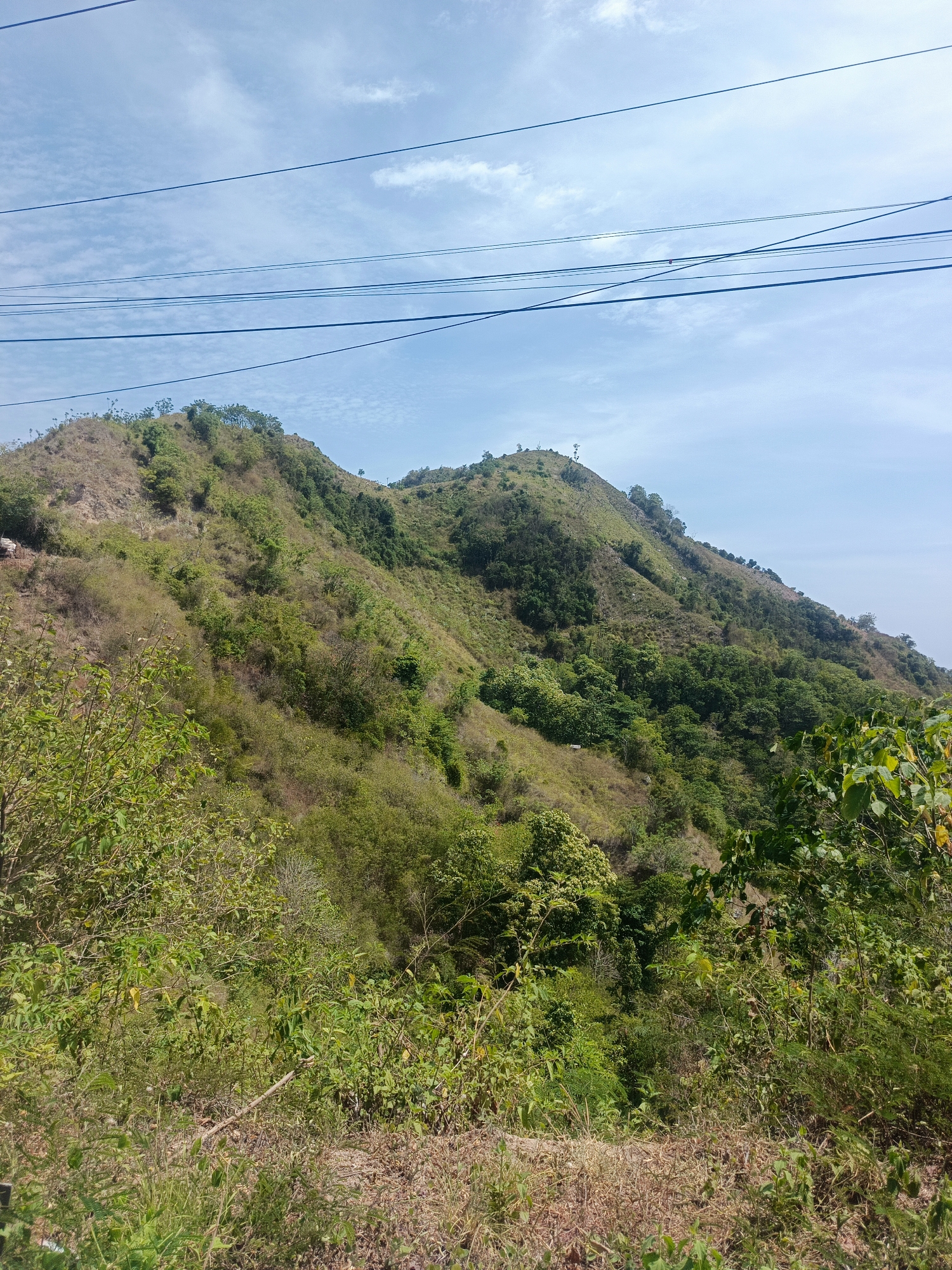 The image depicts a mountainous landscape with a clear sky and scattered clouds. Several power lines are visible crisscrossing the sky in the upper portion of the image. The mountains are covered in green vegetation, with some dry patches and exposed soil on the slopes. The foreground is dominated by dense foliage and dry grasses. The scene appears to be located in a rural or natural area, potentially near Olele, Indonesia, given the vegetation and terrain. No people, animals, or man-made structures are prominently visible, except for the power lines. The overall impression is one of a natural, hilly environment under a bright sky.