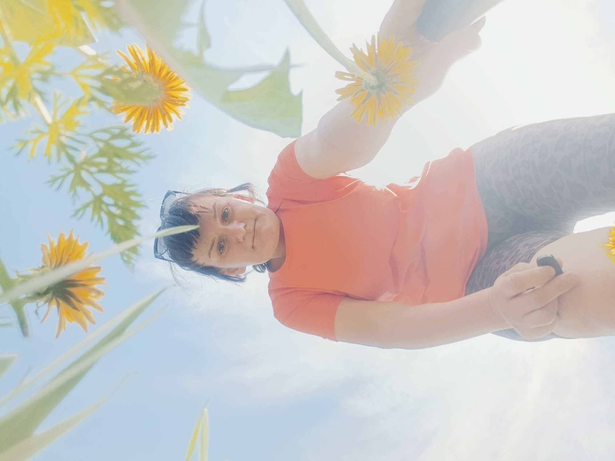 A woman is seen from a low angle, likely taken from ground level in the city of Фоки, Russia. She has dark hair, fair skin, and is wearing an orange t-shirt and patterned leggings. Sunglasses are perched on top of her head. She is holding a yellow dandelion flower in her outstretched hand.
Several other dandelions and green leaves are visible in the foreground against a bright blue sky, indicating an outdoor, sunny environment. The lighting is very bright, possibly midday sun. The woman appears to be looking down at the camera. One hand is visible holding a small black device, which appears to be a cell phone.
