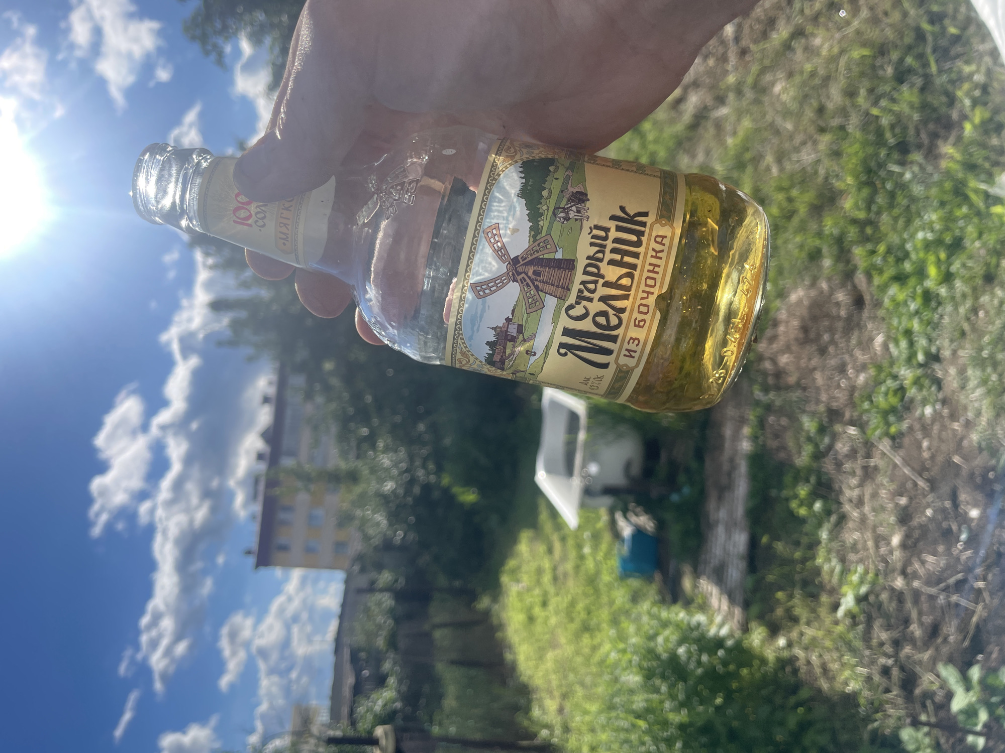 A person's hand holds a glass bottle of "Старый Мельник" (Old Miller) beer. The label features a vintage illustration of a windmill and a horse-drawn cart, with text that includes "из БОЧОНКА" (from the barrel). The bottle contains a golden-colored liquid. The background suggests an outdoor setting on a sunny day. The sky is blue with fluffy white clouds, and sunlight is visible, creating lens flare. Green grass and trees are in the background, along with a building and what appears to be a white tub and a blue bin. The overall scene suggests a casual moment outdoors, possibly in a backyard or rural area. The time of day appears to be late morning or afternoon due to the bright sunlight. The weather is clear and sunny.
