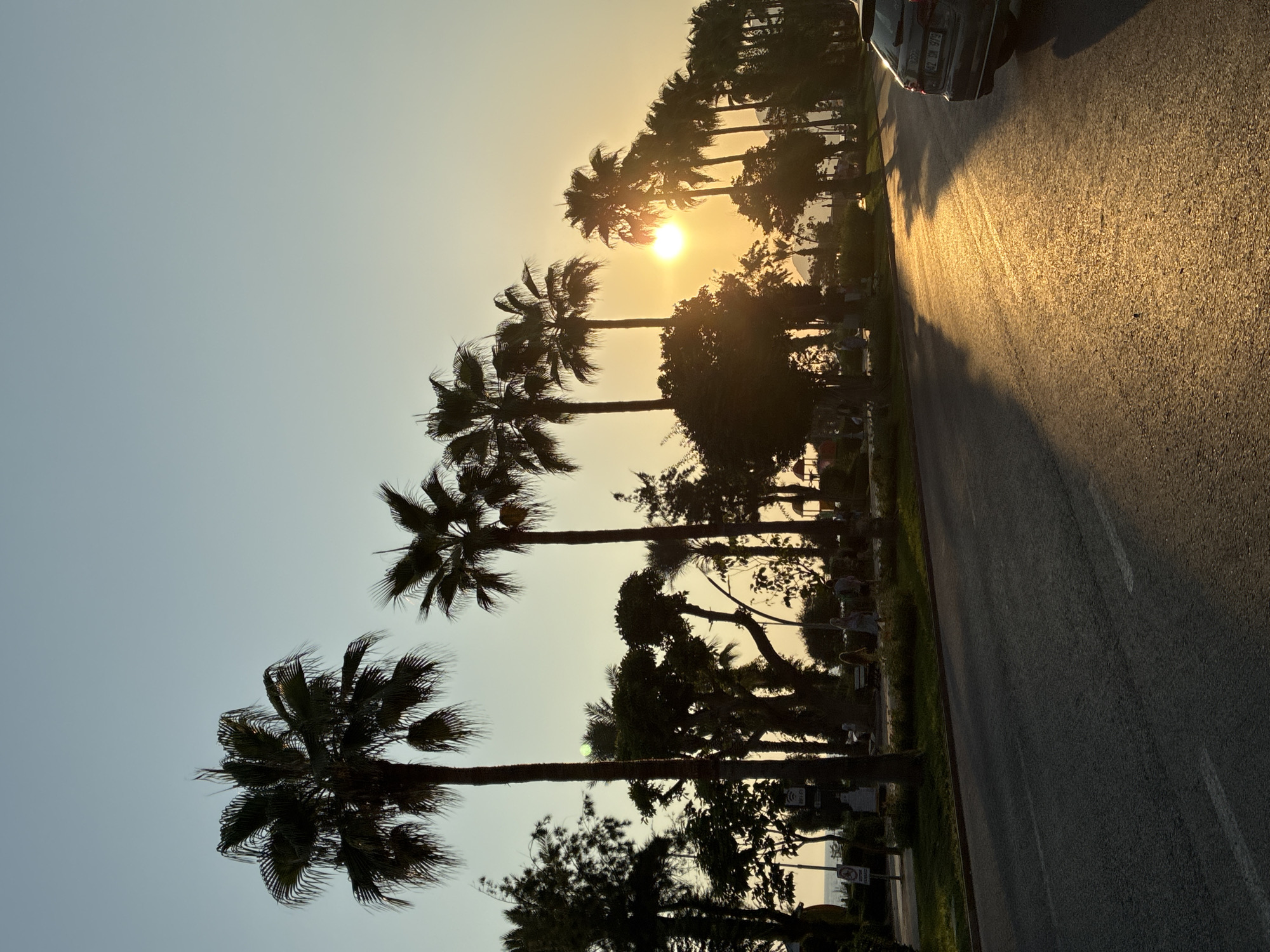In Alanya, Turkey, a street is captured during sunset, casting long shadows from a row of palm trees lining the side of the road. The sun, a bright orb near the horizon, illuminates the asphalt with a warm, golden light. A dark-colored Audi car is parked on the right side of the street, its license plate partially visible. In the background, silhouetted figures stroll along a pathway bordered by trees, and further back, the sea is faintly visible. The sky transitions from a clear, pale blue at the top to a soft yellow glow near the horizon.