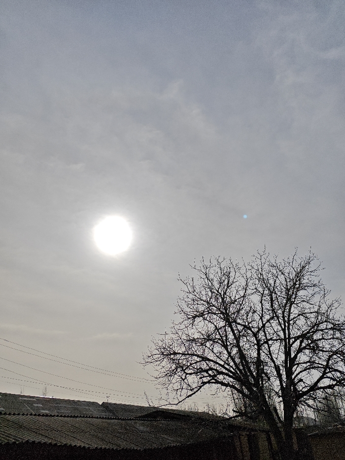 A gray sky with the sun shining through thin clouds dominates the view. Below, a stark, bare tree stands to the right, its branches reaching upwards. A section of rooftops stretches across the bottom of the image, with utility lines running above them. The overall impression is one of muted colors and a slightly overcast day.