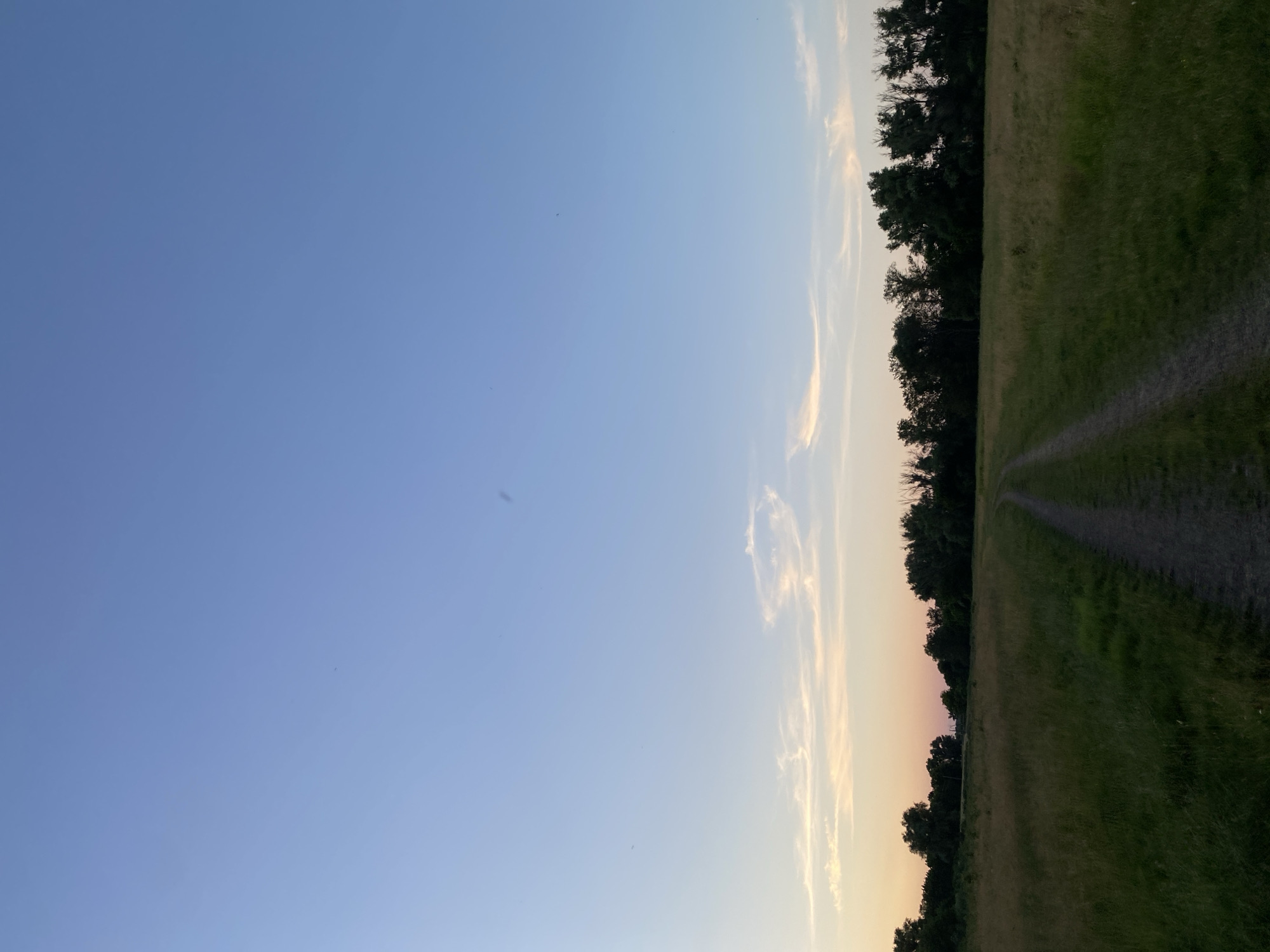 The image depicts an outdoor scene with a clear blue sky dominating the left side. Faint wisps of clouds are visible closer to the right horizon, where the sky transitions to a soft gradient of orange and yellow, suggesting either sunrise or sunset. The right side of the image is filled with a grassy field and a line of trees at the edge of the field. A dirt path, possibly a walking trail, is visible cutting through the grass and leading towards the trees. The lighting indicates it is either early morning or late evening, with a serene and tranquil atmosphere. There are no people or specific objects visible in the scene, making it a natural landscape. The overall impression is one of peacefulness and the quiet beauty of nature.