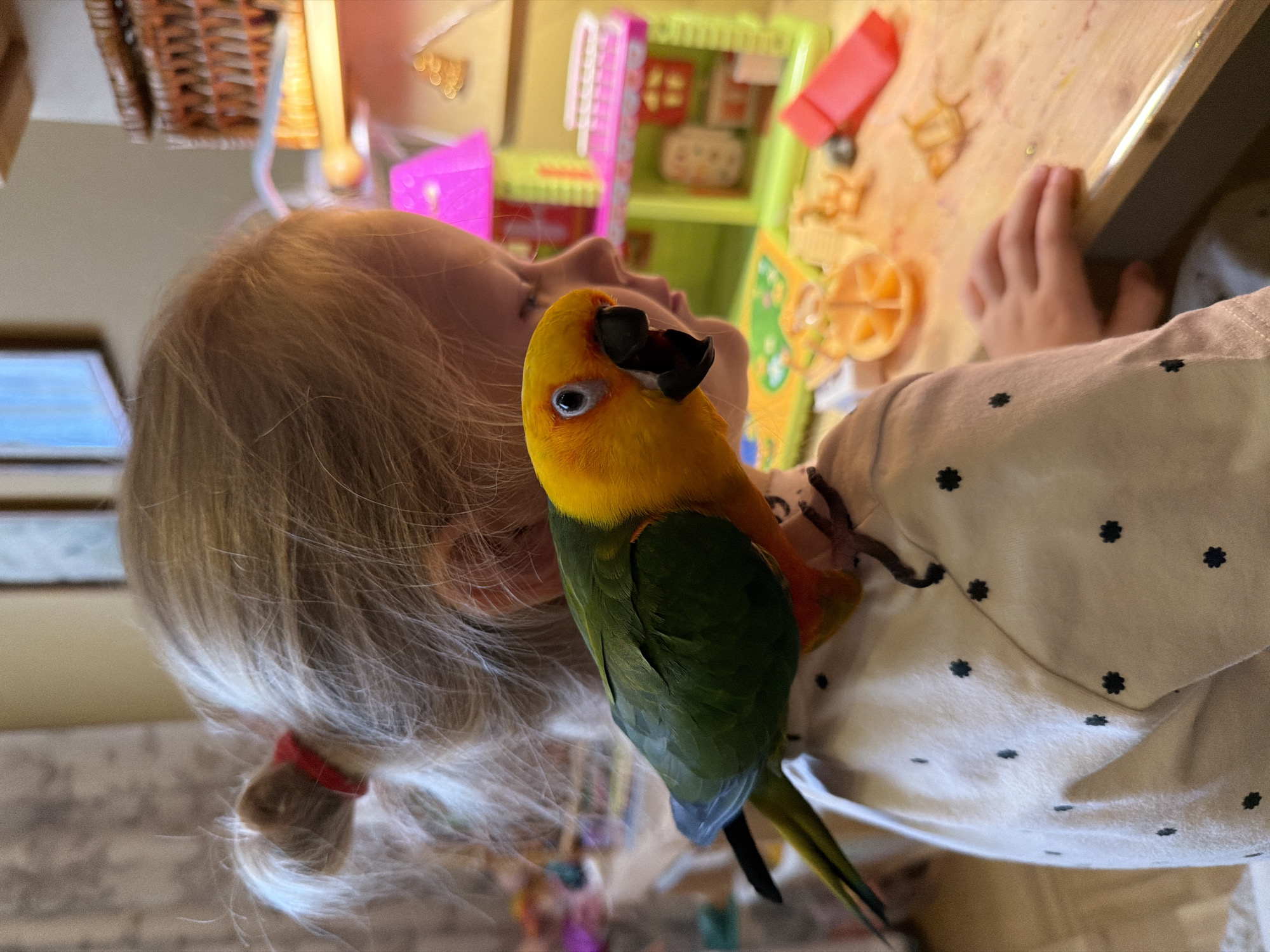 A young blonde girl, facing to the right, has a green and yellow conure parrot perched on her shoulder. The parrot is looking towards the viewer, with its beak open. The girl is wearing a white shirt with black polka dots. The background shows a wooden table with various toys, including a pink and green dollhouse, and a woven basket. The scene appears to be indoors, possibly a home or a classroom in Khimki, Russia.