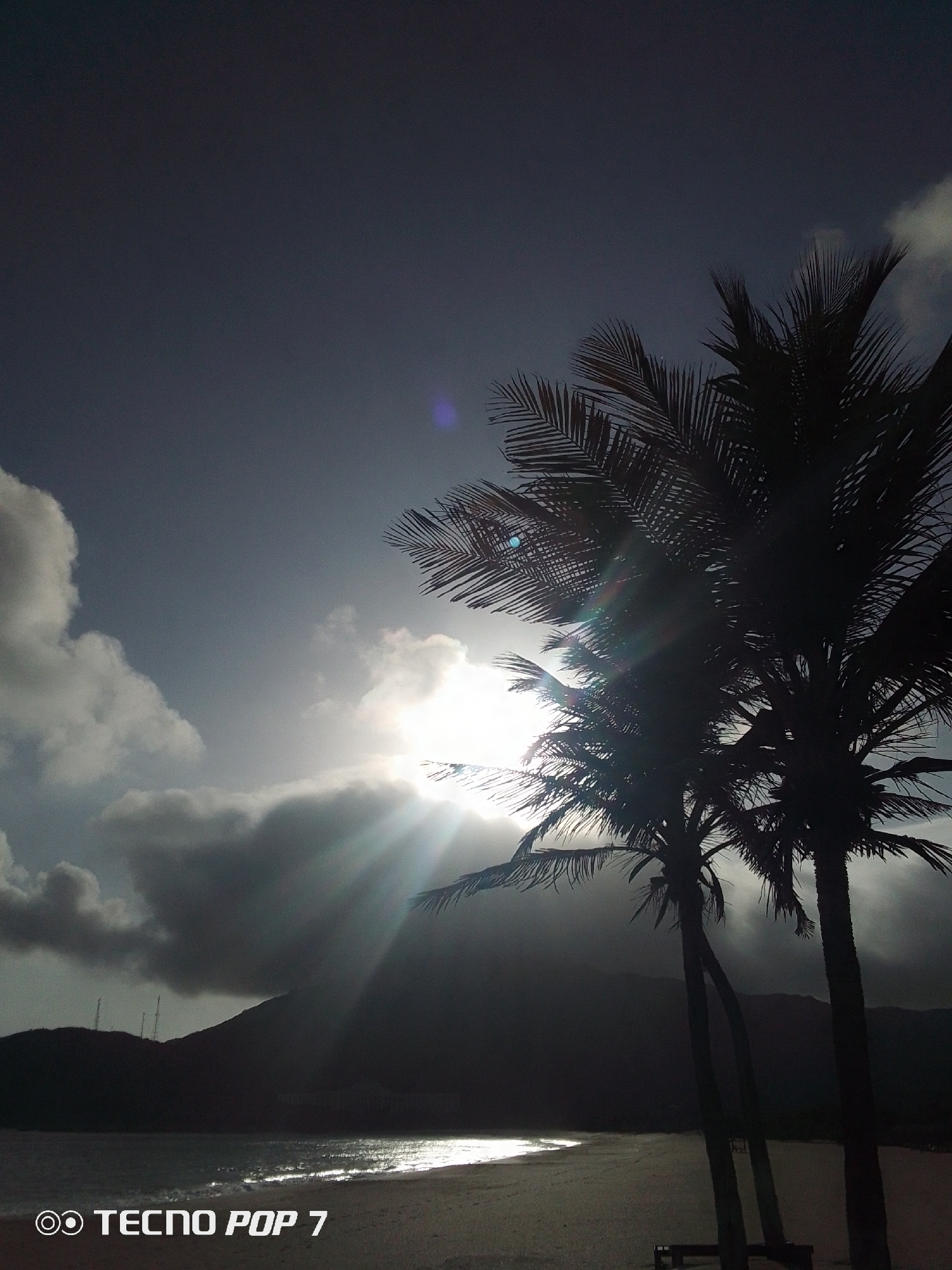 The image shows a beach scene at Pedro González, Venezuela. Silhouetted palm trees stand on the beach in the foreground. The sun, obscured by clouds, shines brightly behind the trees, creating a strong backlight. The beach is sandy, and the water reflects the sunlight. A dark landmass is visible in the background. The sky is partially cloudy. The text "TECNO POP 7" is visible in the bottom left corner.