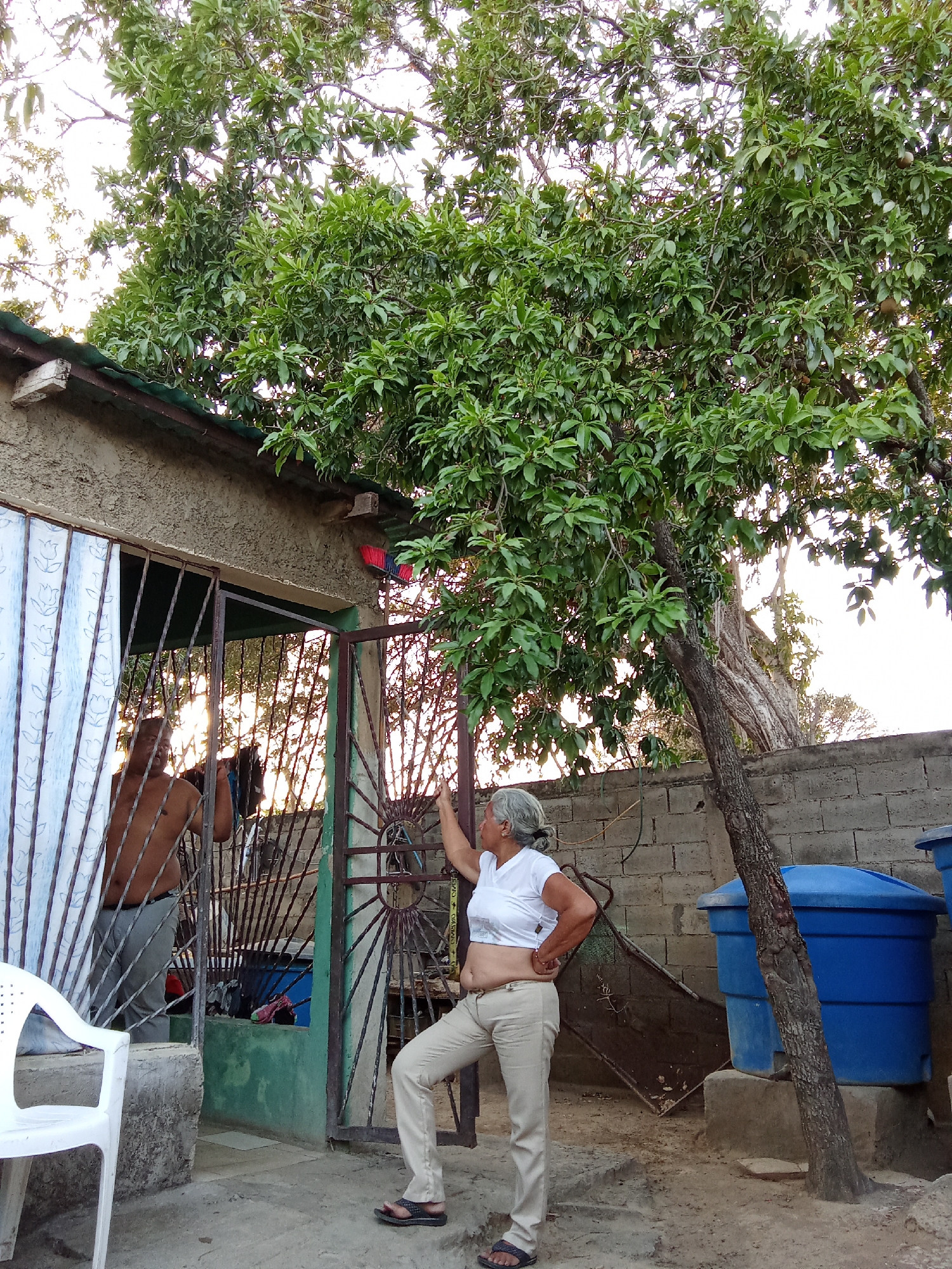 The scene takes place outdoors in what appears to be the backyard of a residence in Juan Griego, Venezuela. An older woman with grey hair pulled back in a bun, wearing a white top and khaki pants, is standing and leaning against a metal gate. A shirtless man is visible inside the residence, standing behind the gate. To the right of the woman, a tree is situated near a cinder block wall, and two blue plastic water tanks are visible behind the tree. A white plastic chair is placed in front of the house. A red and black object is seen hanging above the open gate. The lighting is bright, suggesting it is daytime. The ground appears to be dirt or concrete.