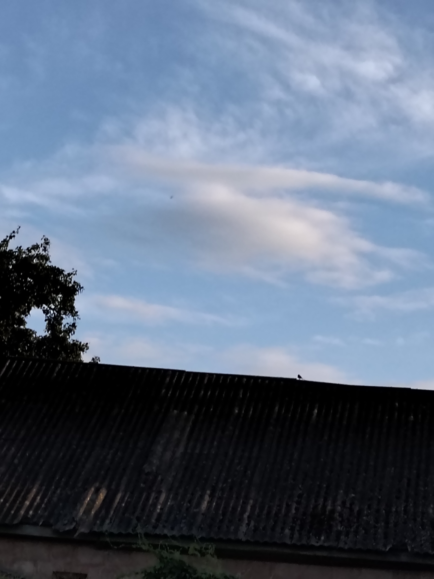 The image shows a dark, corrugated roofline in the foreground, likely made of slate or a similar material, with visible wear and tear. A dark green tree with dense foliage is positioned to the left, partially obscuring the sky. The sky above is a pale blue with wispy white clouds and a larger, fluffy white cloud. A small dark bird is perched on the peak of the roof in the center right of the image. The scene appears to be an outdoor environment, possibly a residential area or a rural setting in Ustyvytsia, Ukraine.