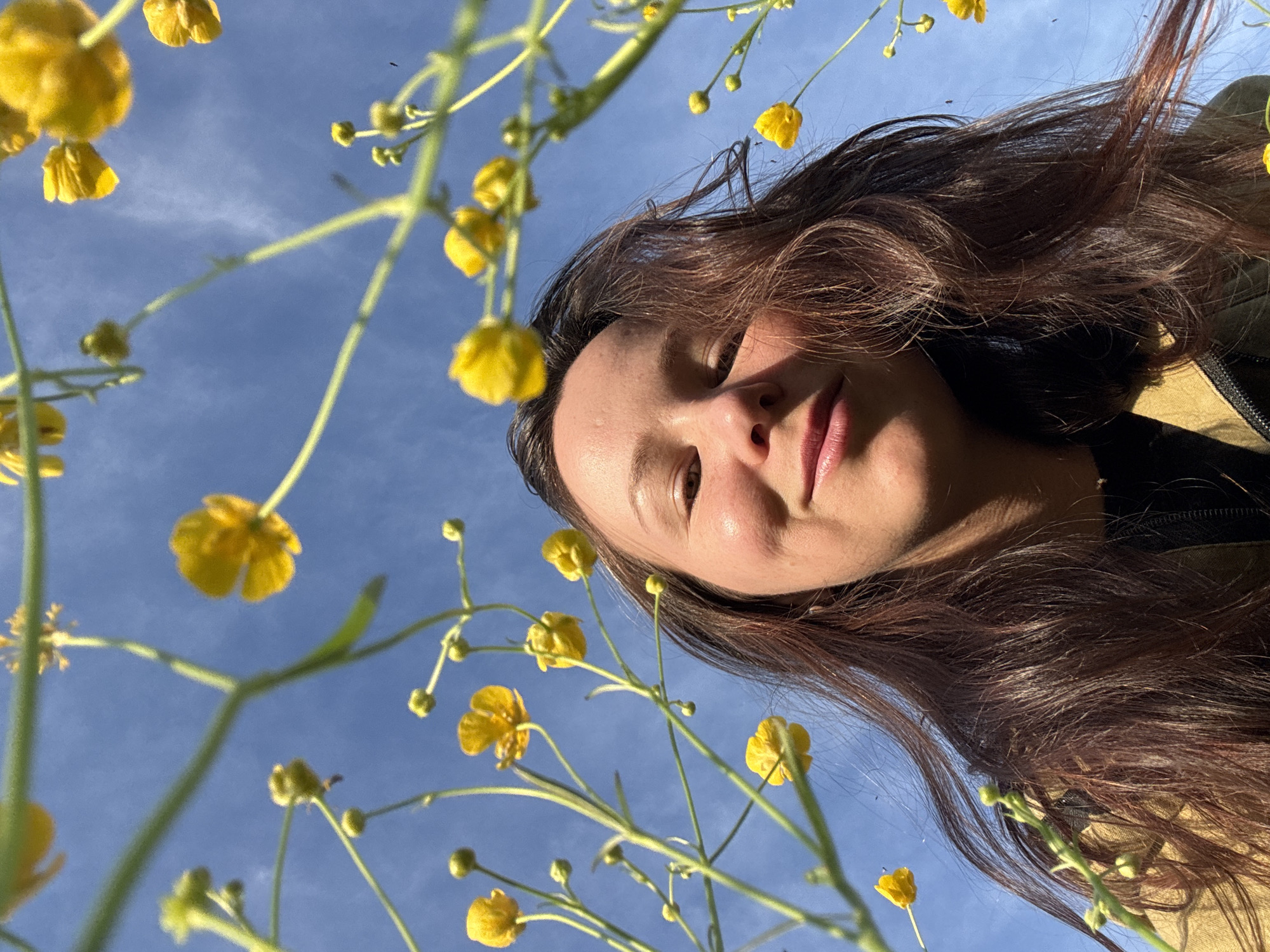 A low-angle shot depicts a young woman, appearing to be in her early to mid-twenties, positioned against a bright, clear blue sky. The focus is on her face, which is slightly angled towards the viewer. Her hair is long, dark brown, and appears windswept, with strands reaching across the frame. The woman's facial features suggest a fair complexion.
Framing the woman are stems of small yellow flowers with green stems, seemingly buttercups. These flowers are positioned in the foreground, creating a depth of field where they appear larger and closer to the camera.
The background consists primarily of the clear blue sky. The scene suggests an outdoor setting, possibly a field or garden where these wildflowers grow.
I don't have access to information about the city of Egorii, Russia, or anything related to its location or relevance to this scene.